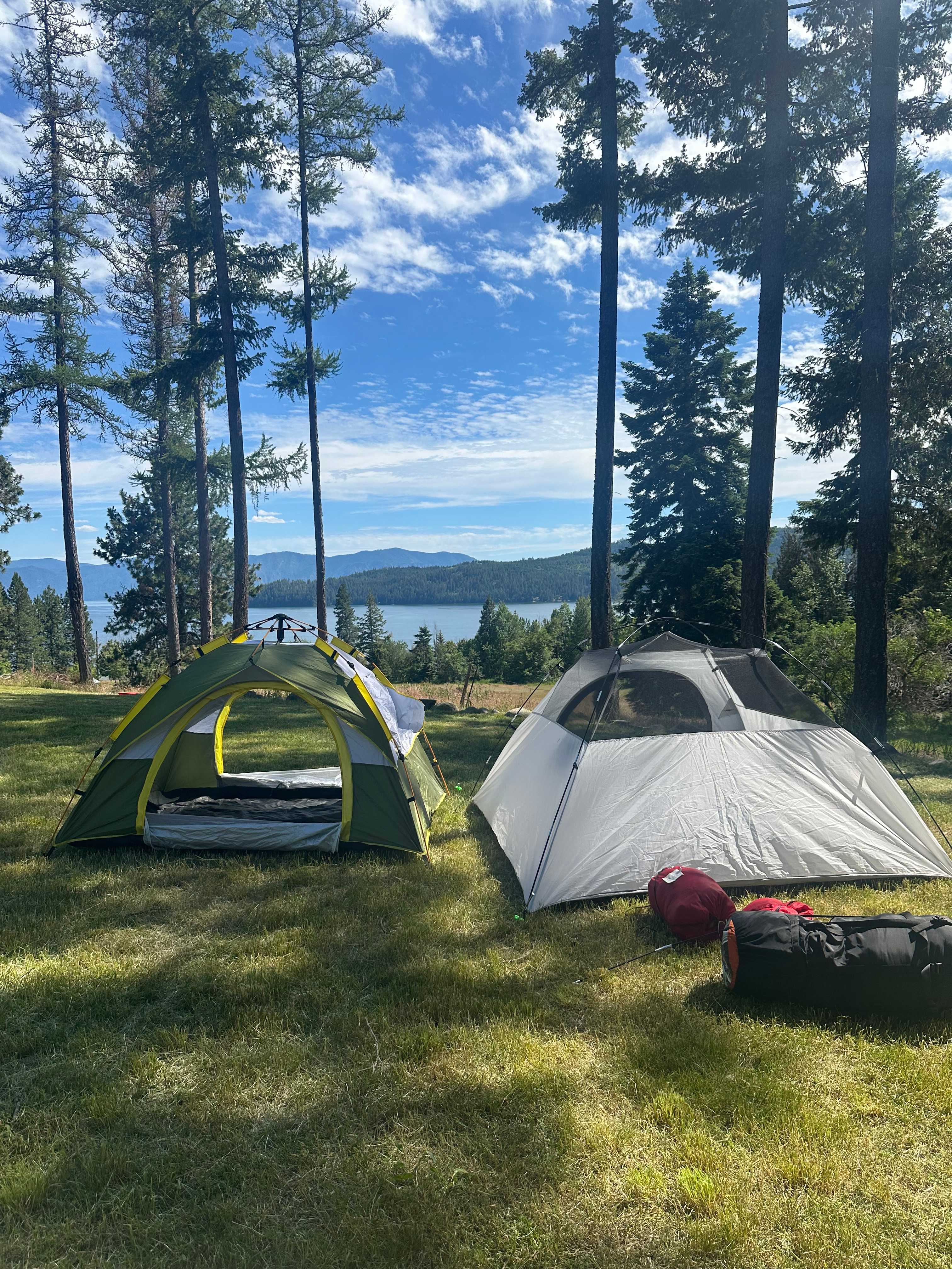 Lakeview Majesty