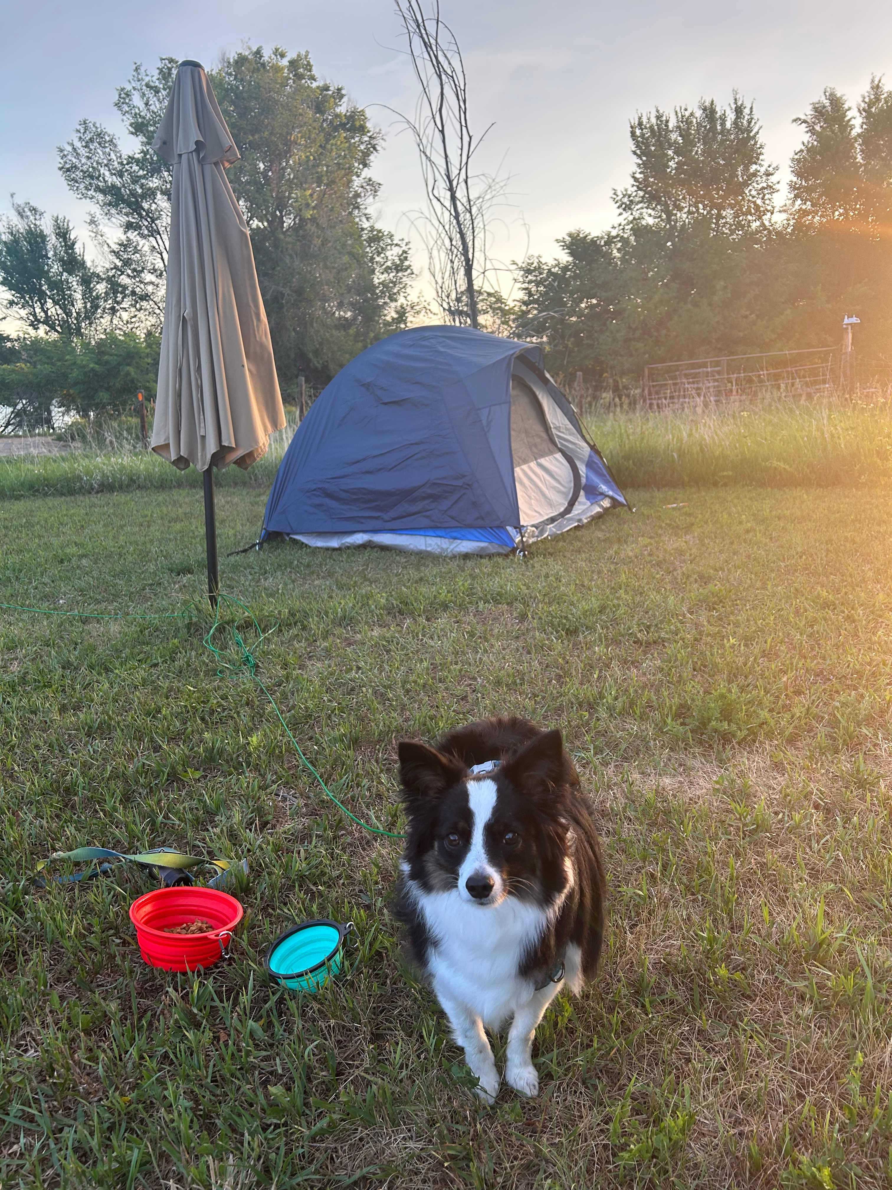Boulder Chicken Ranch