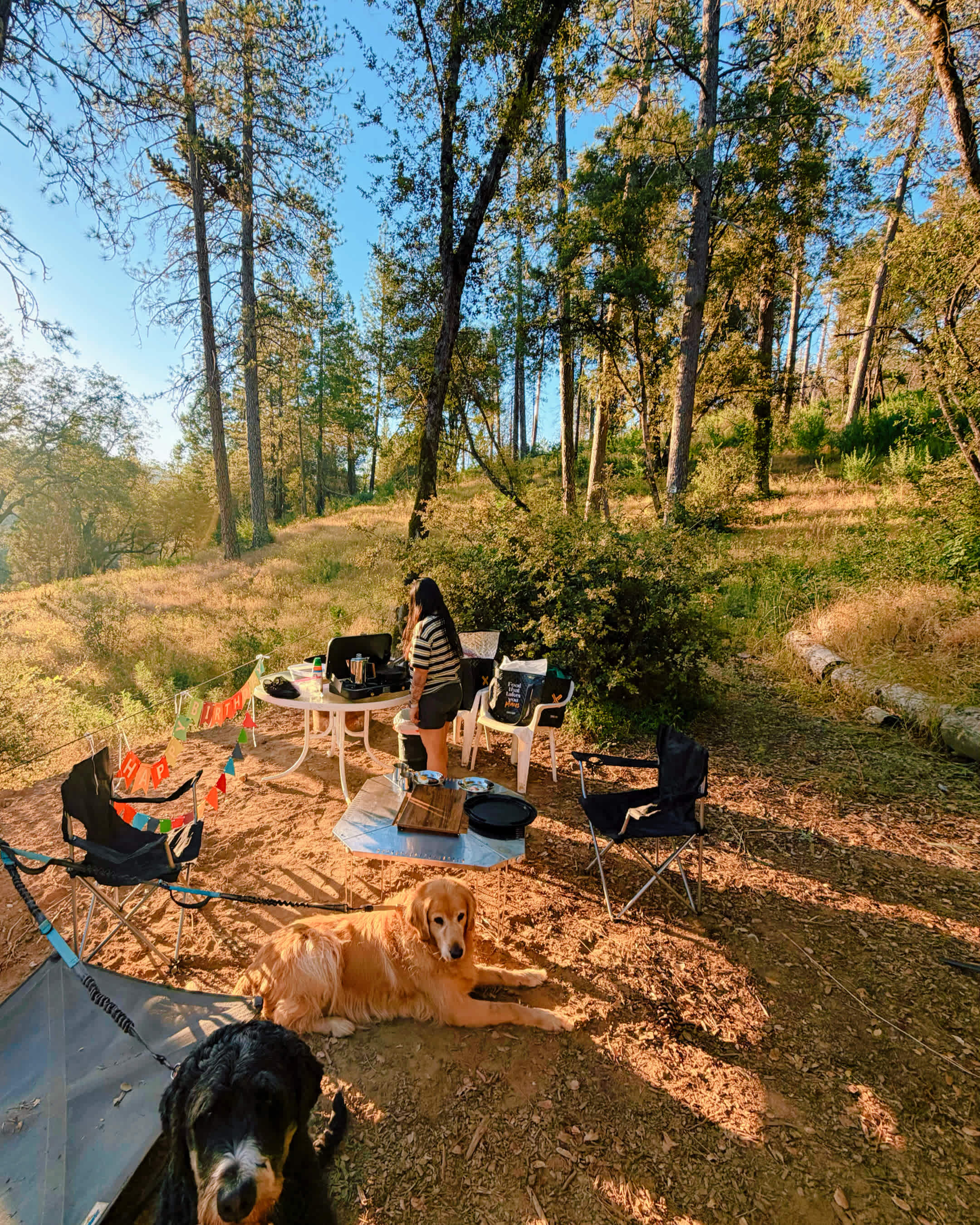 Our simple setup