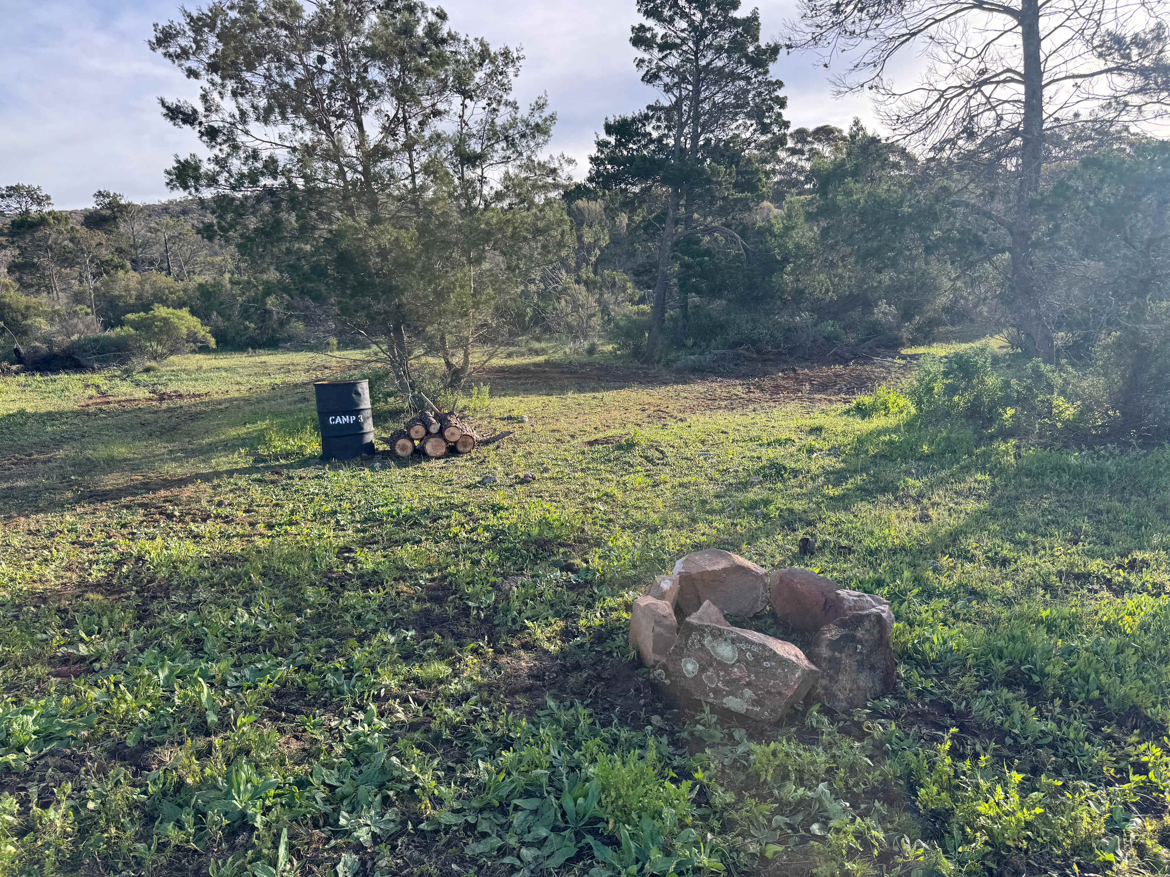 Picture of the site