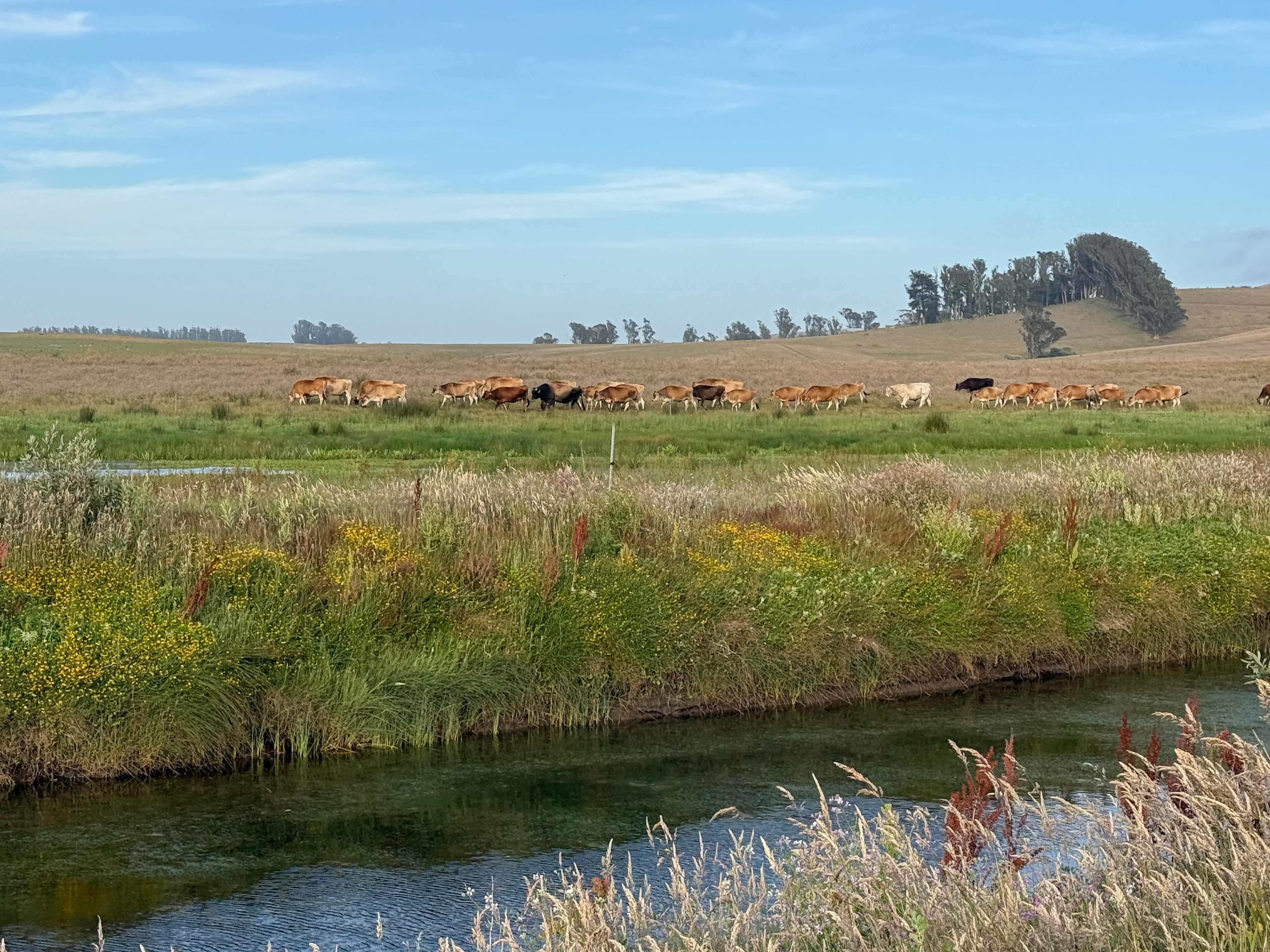 Estero San Antonio Wonderland