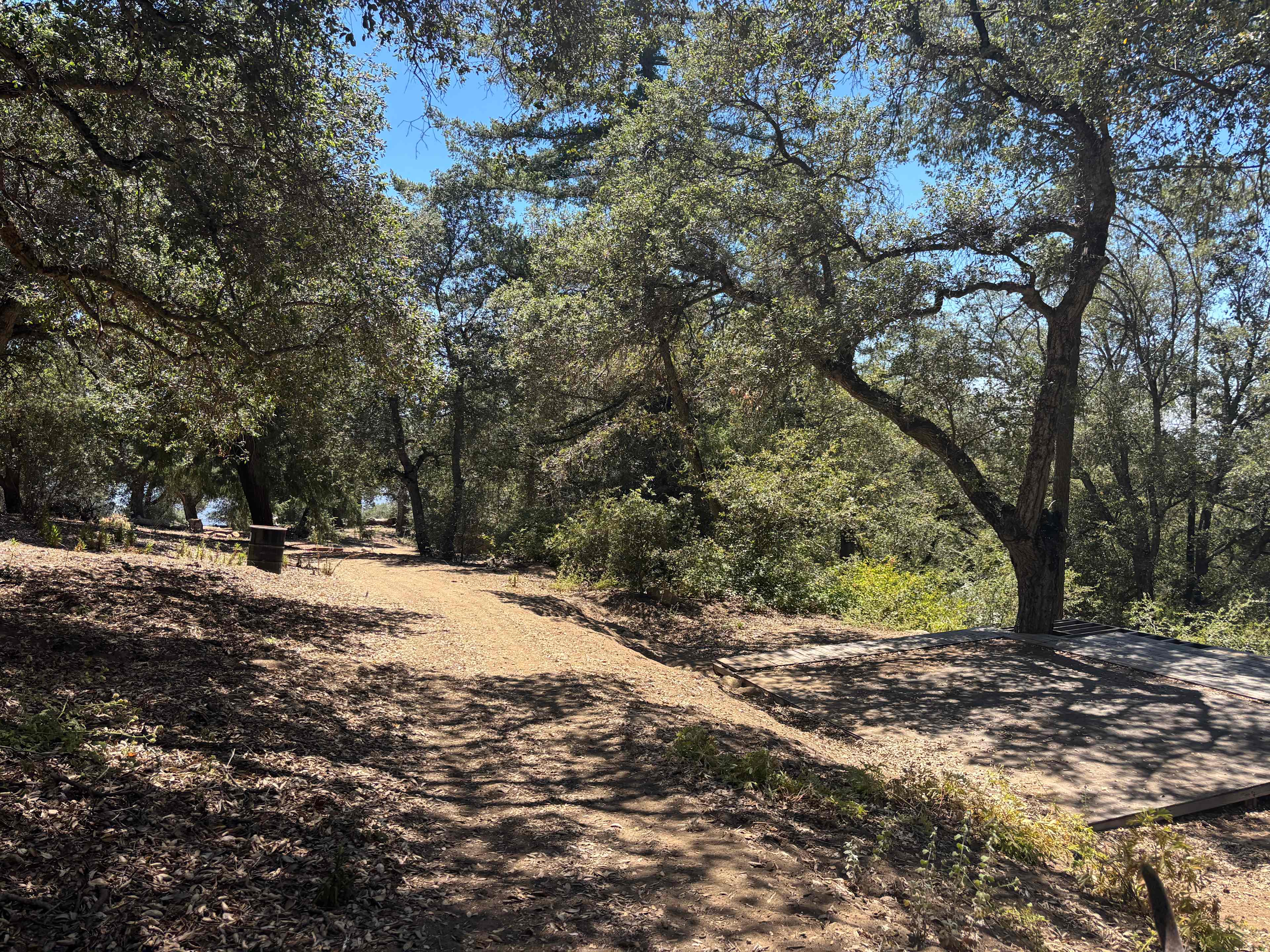 “The perch” campsite for RVs was more removed with less traffic! 