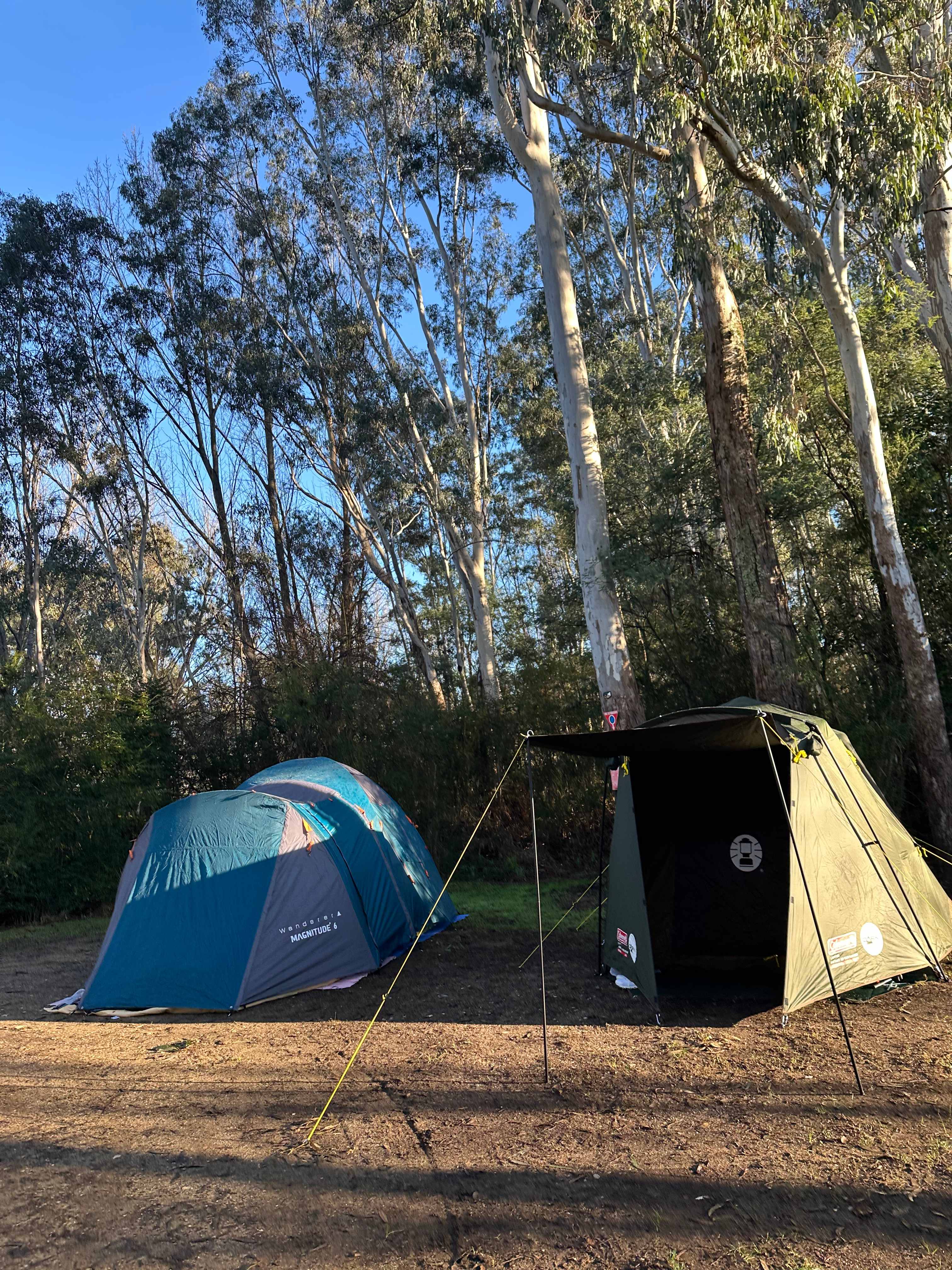 Myrtle Beech Retreat