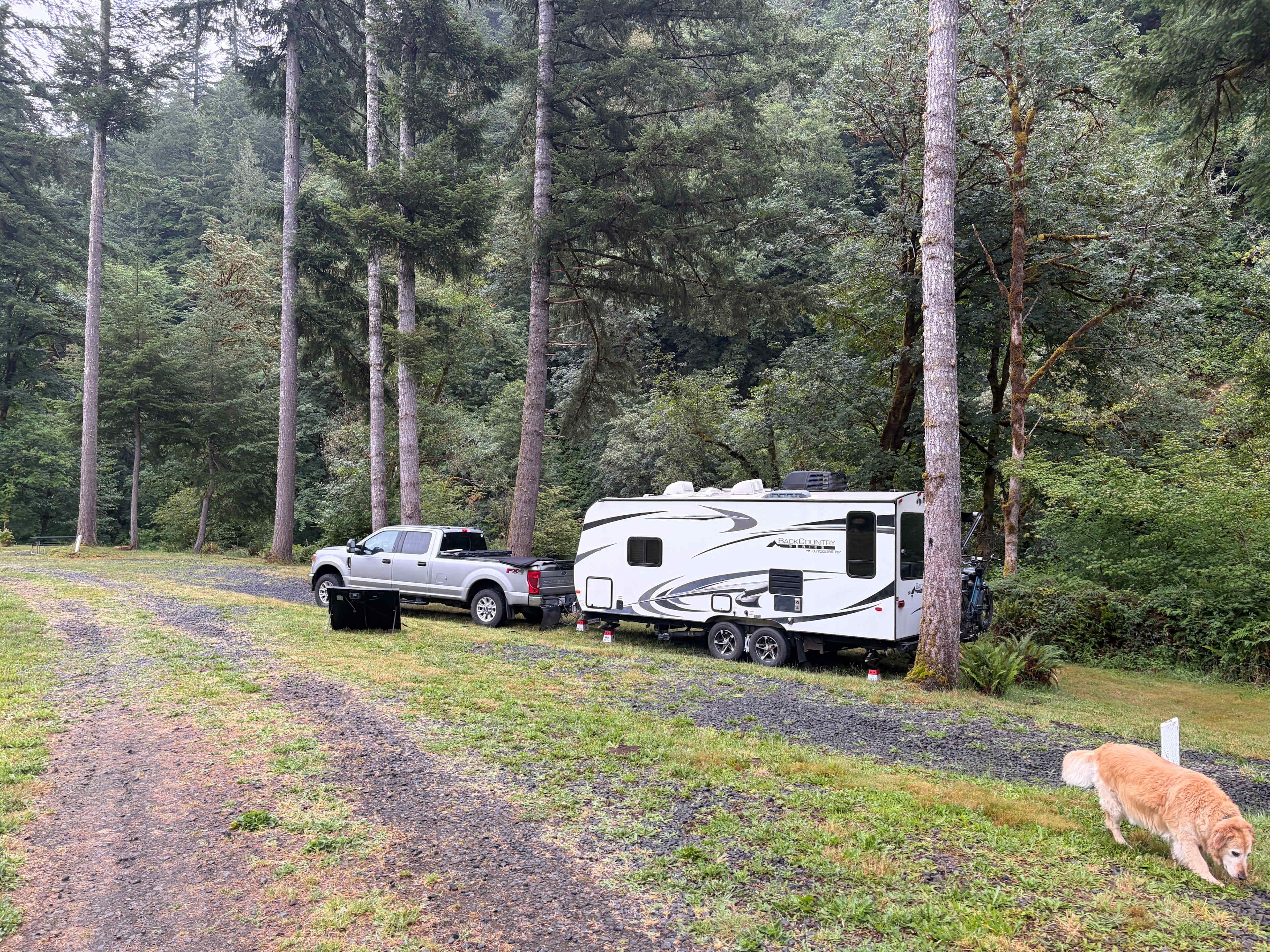 Picture of the site