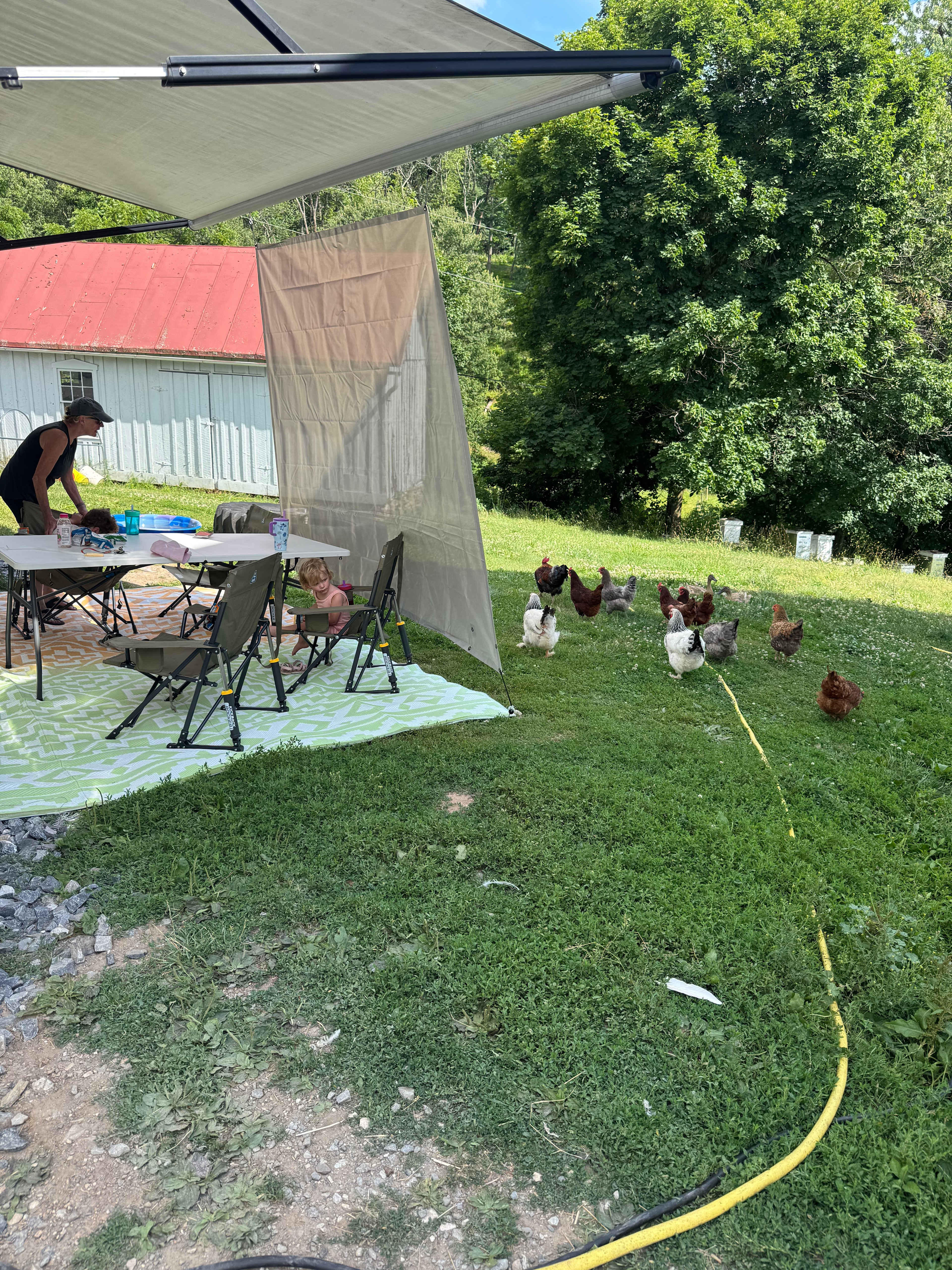 Redemption Springs Farm