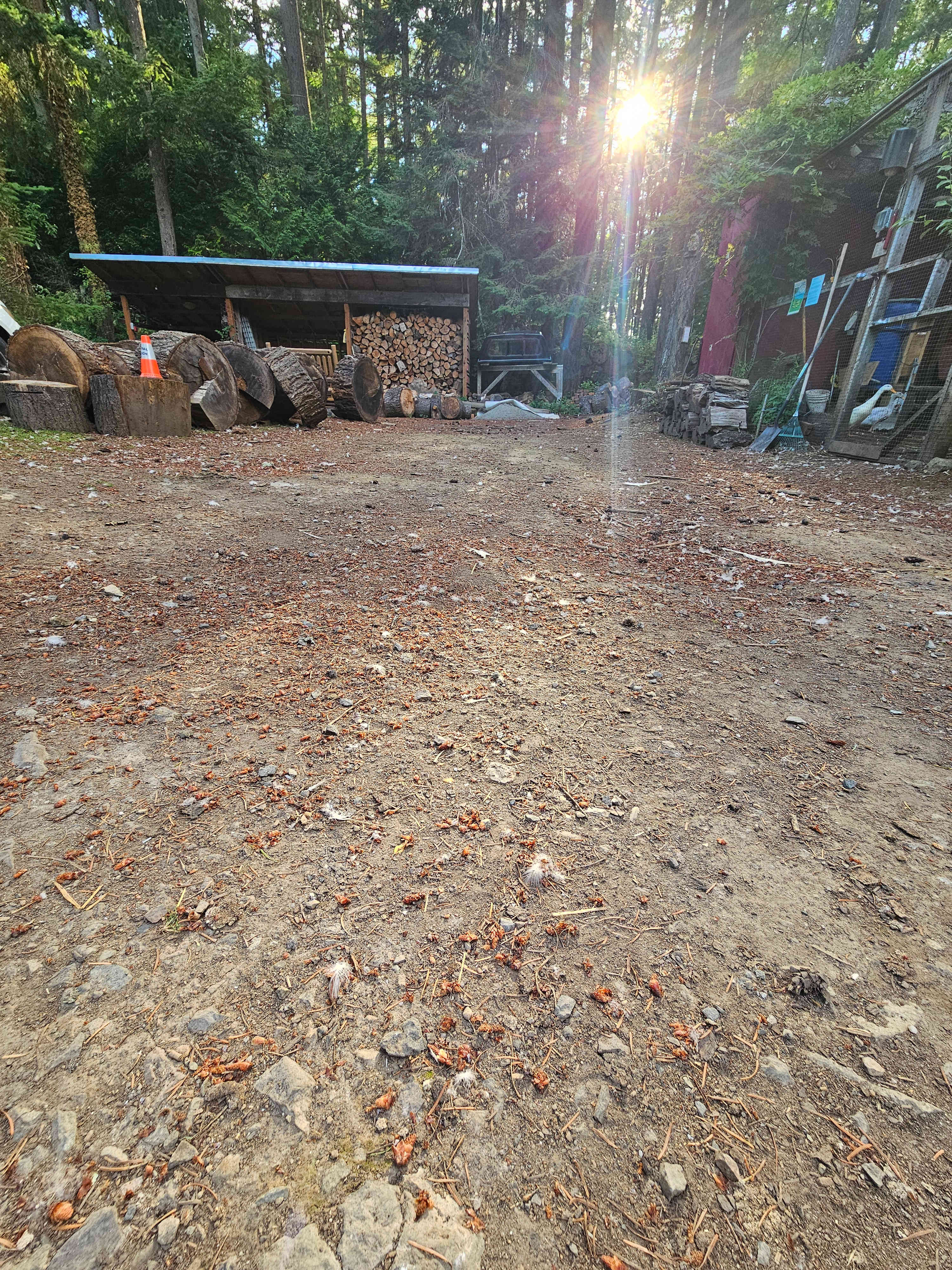 Picture of the site