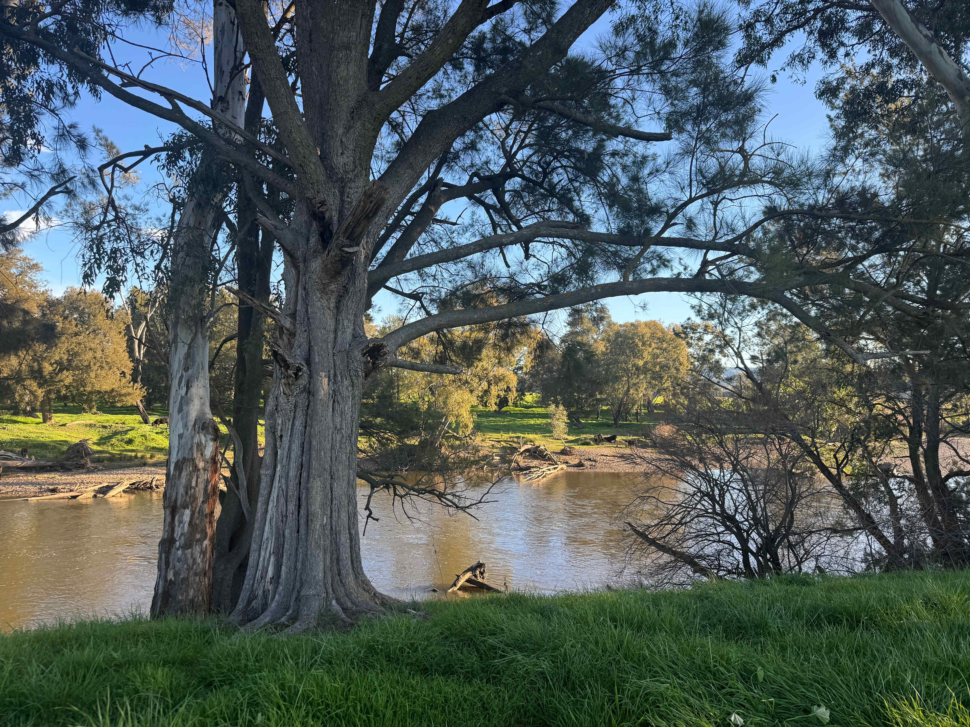 River Bend Camp