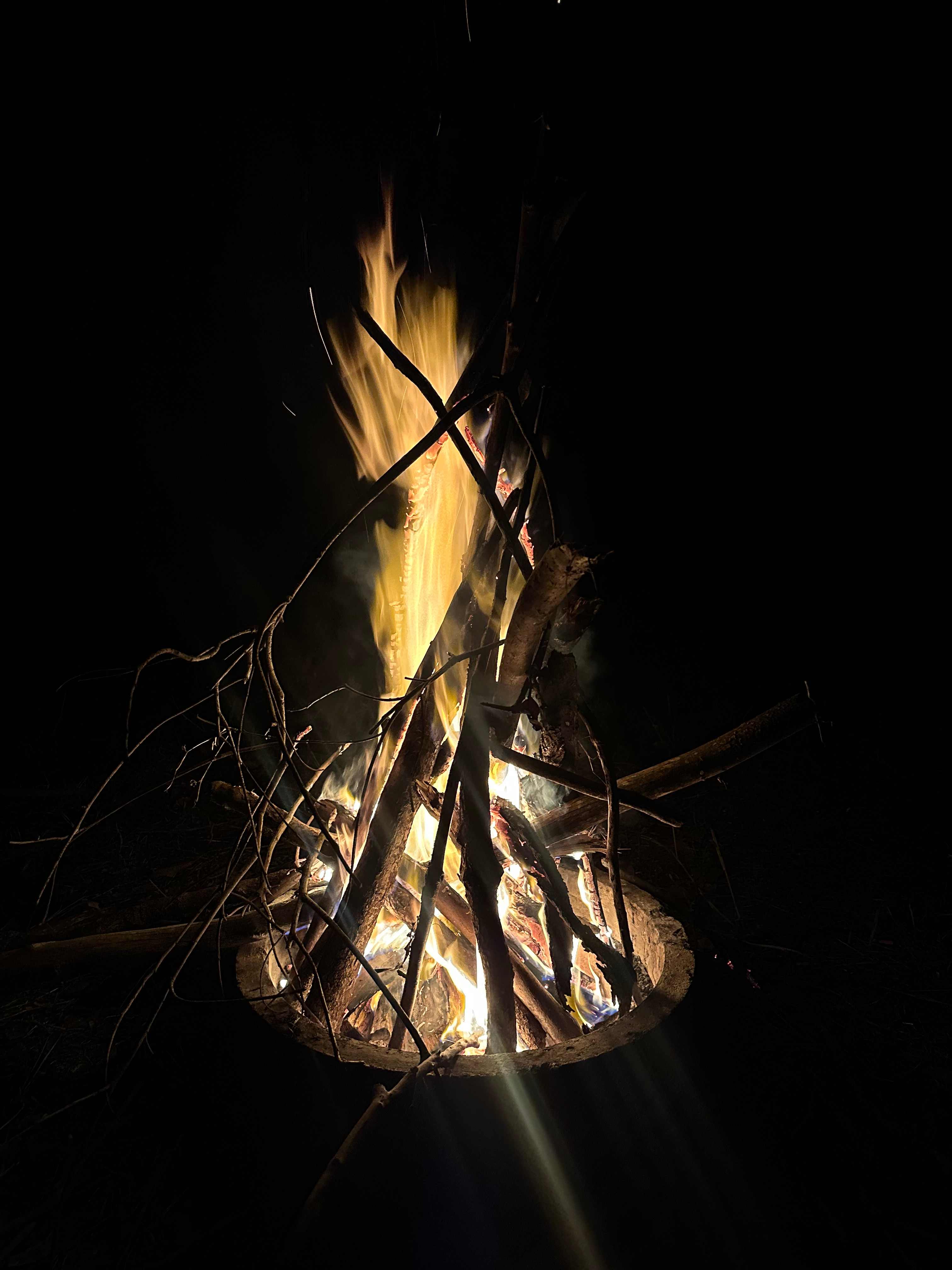 Bunya Ridge Nature Camp