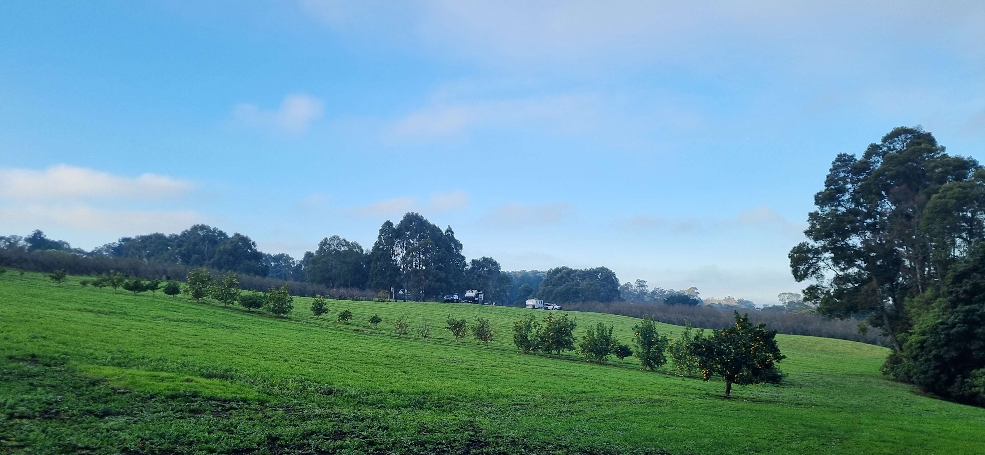 Sites from afar