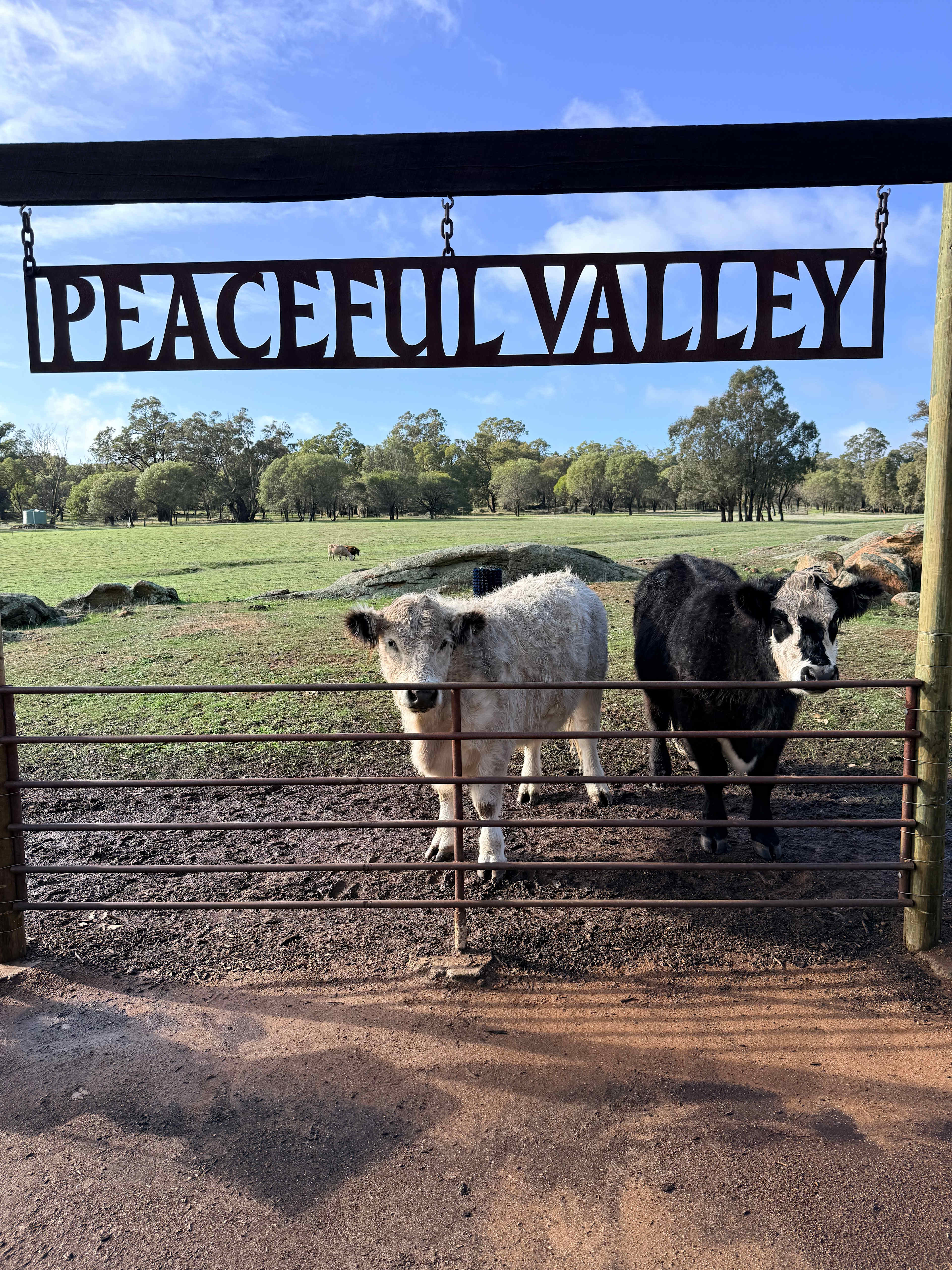 Peaceful Valley Farm
