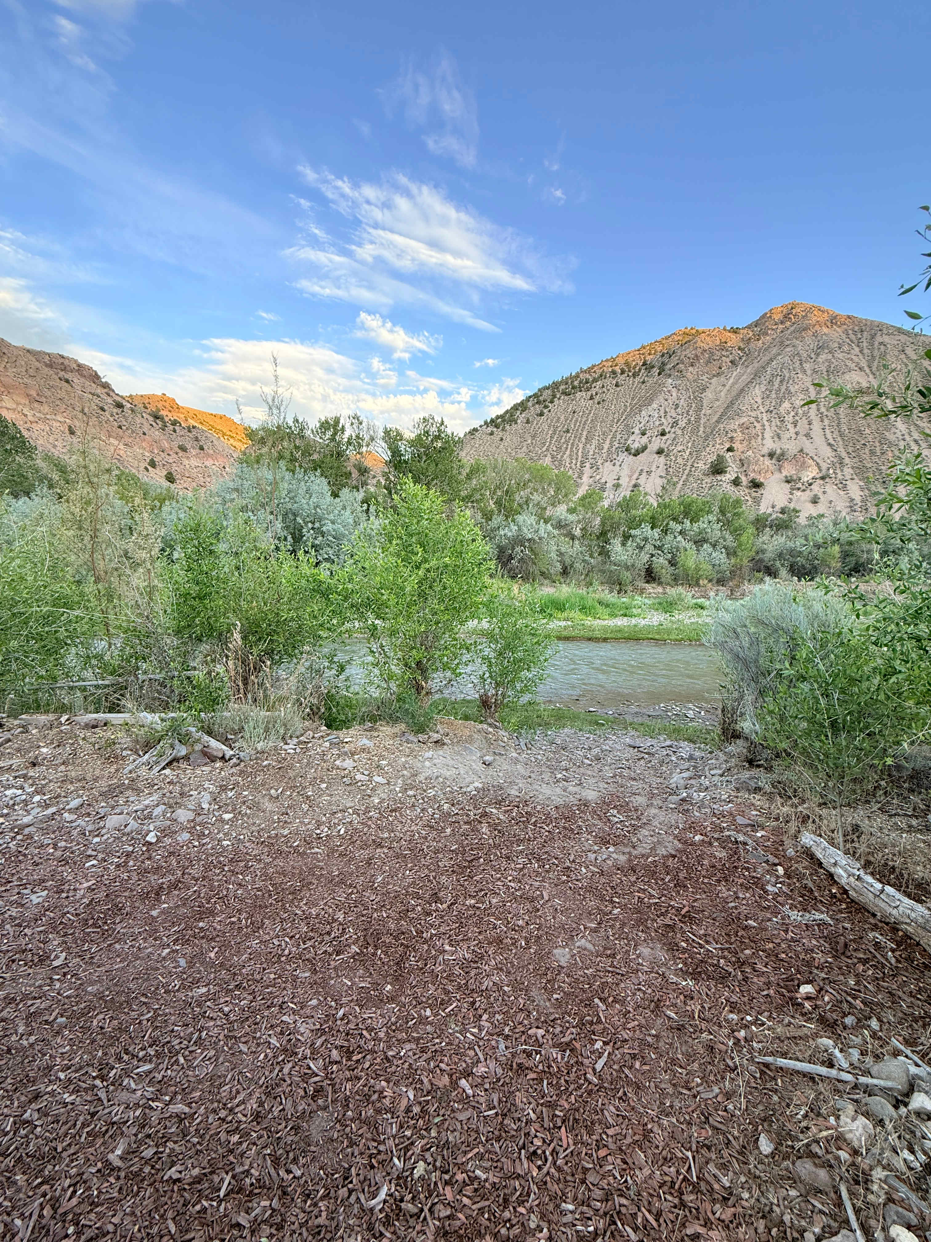 Picture of the site