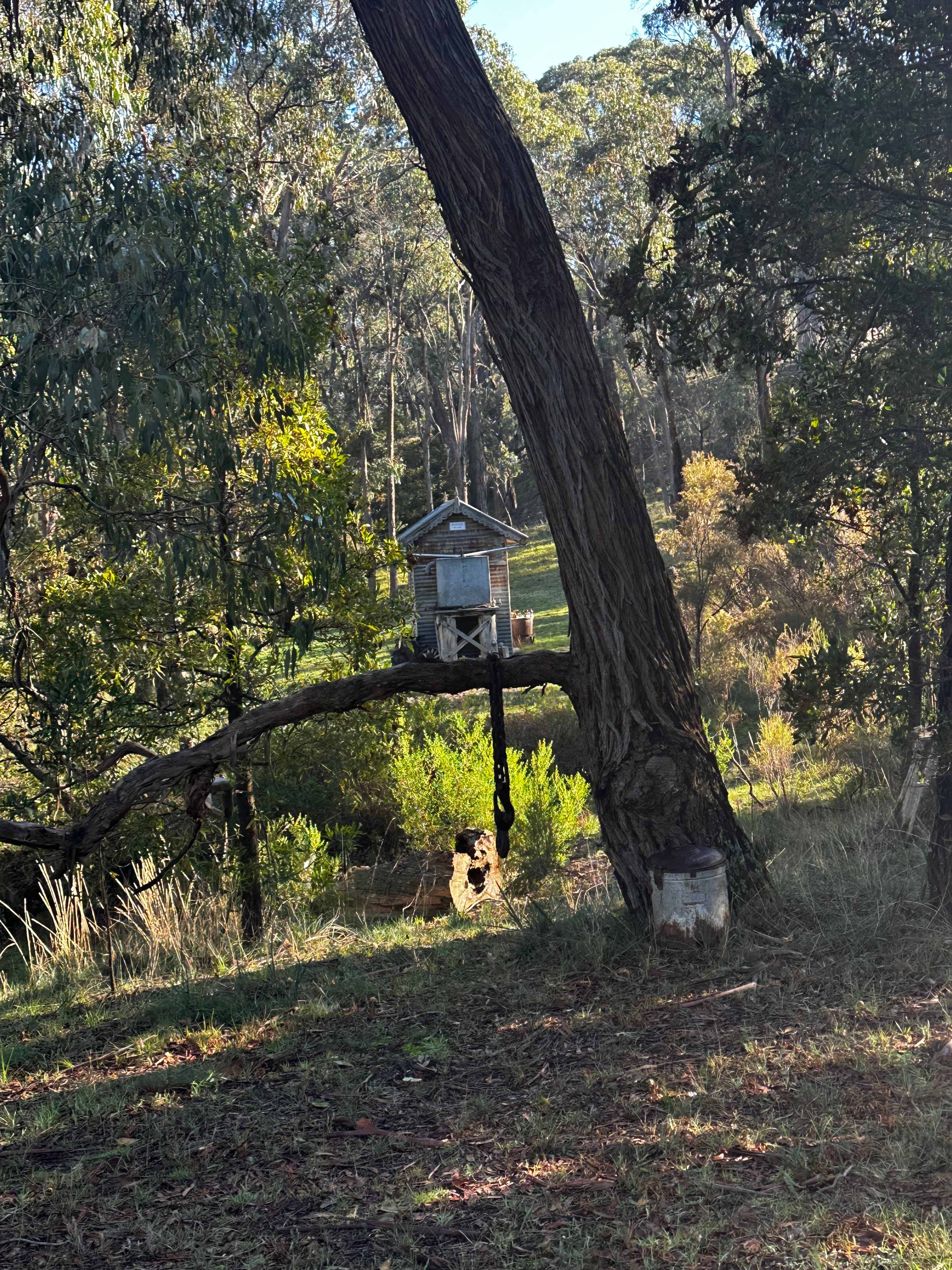Penzance Bushland Retreat