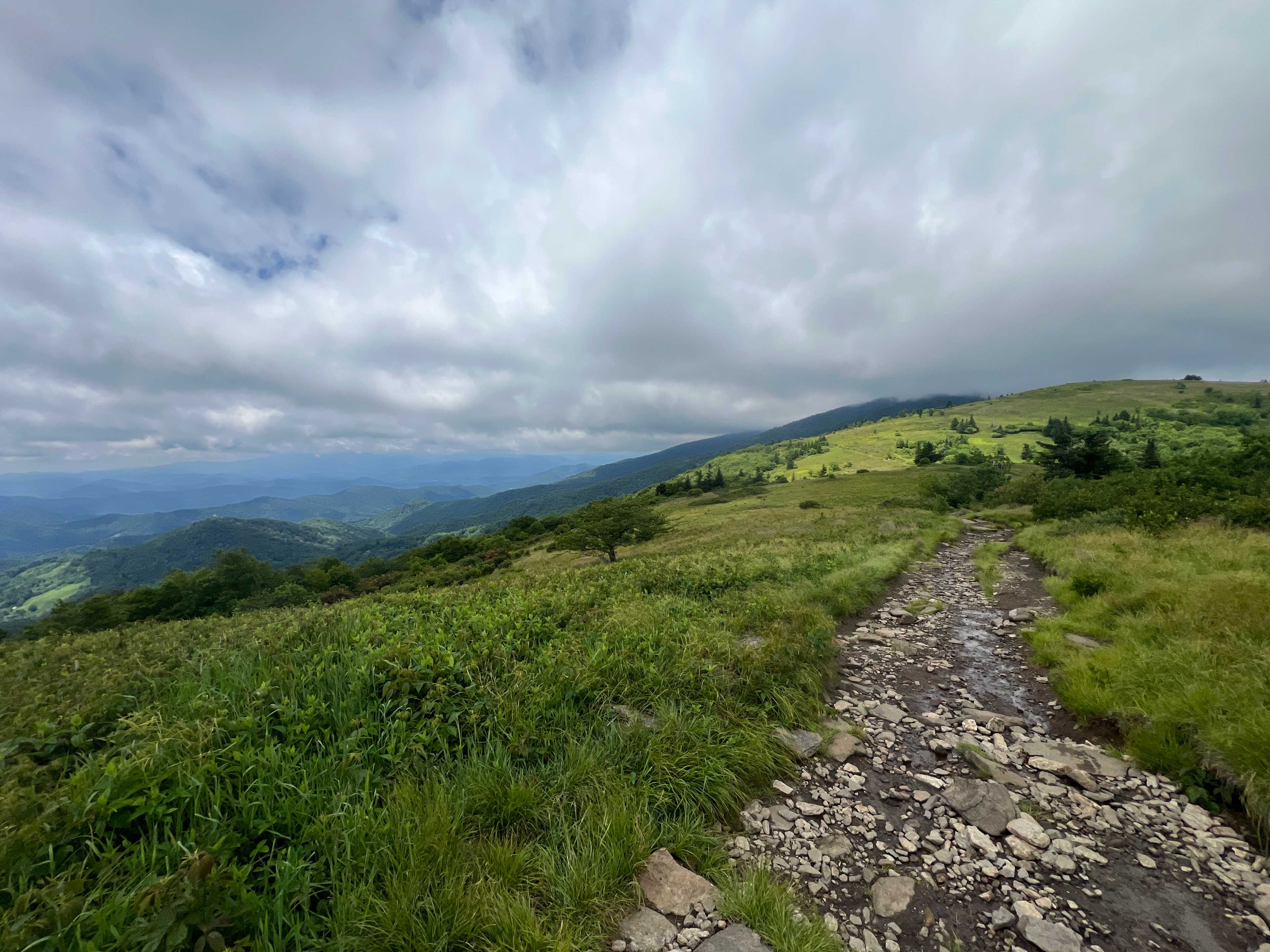 AT toward Round Bald 