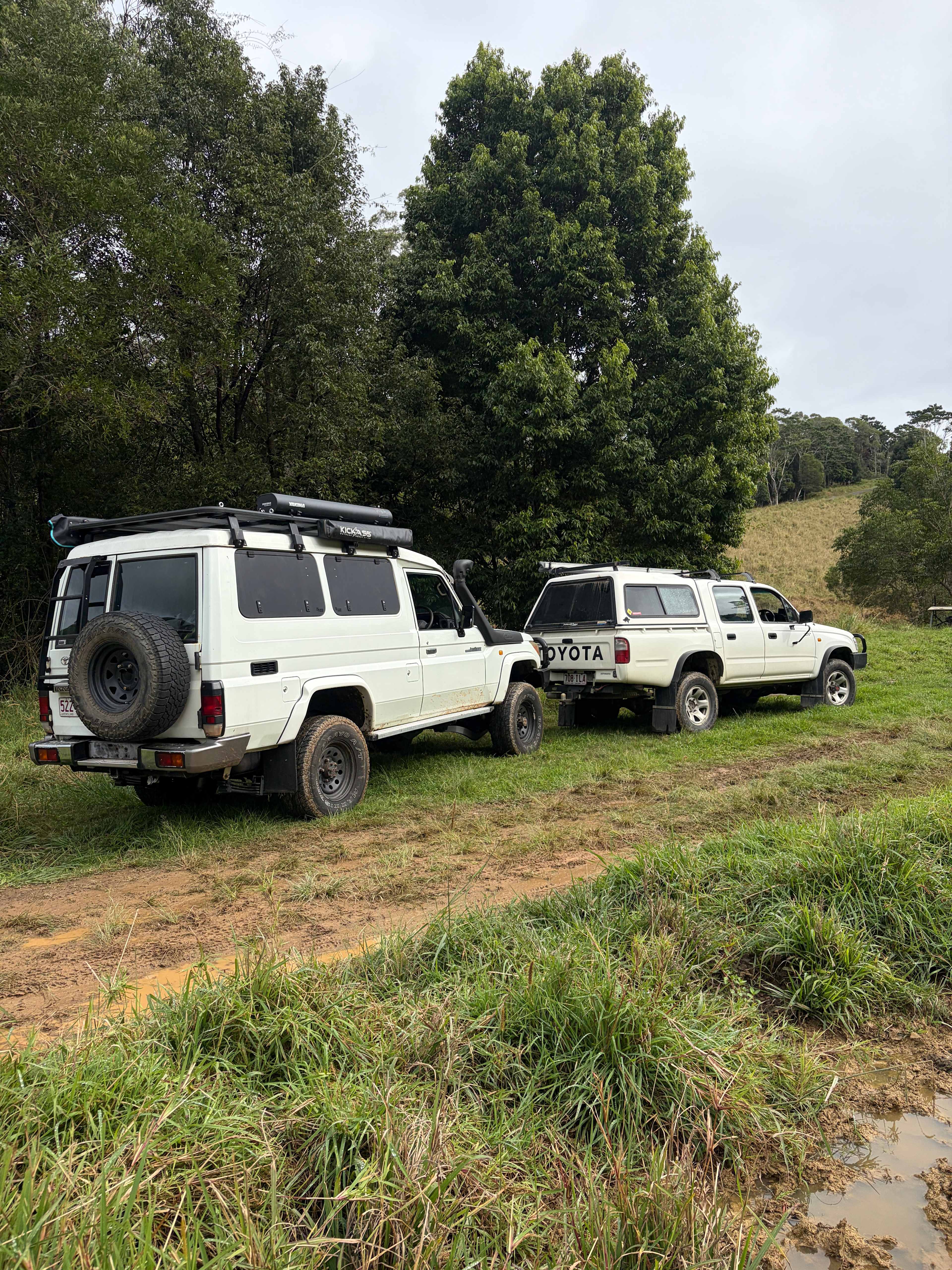 Bunya Ridge Nature Camp