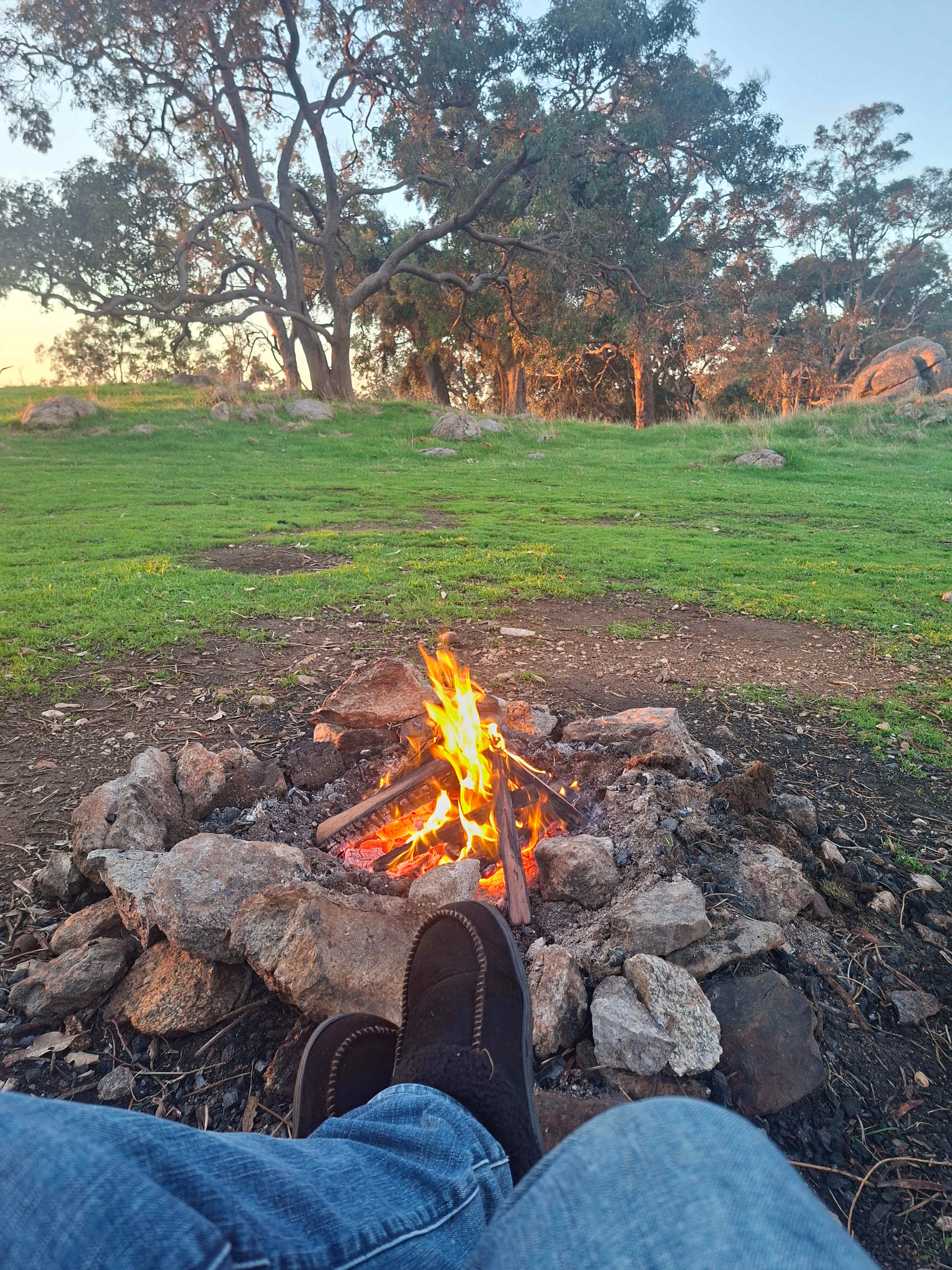Jacaranda Hill Farm