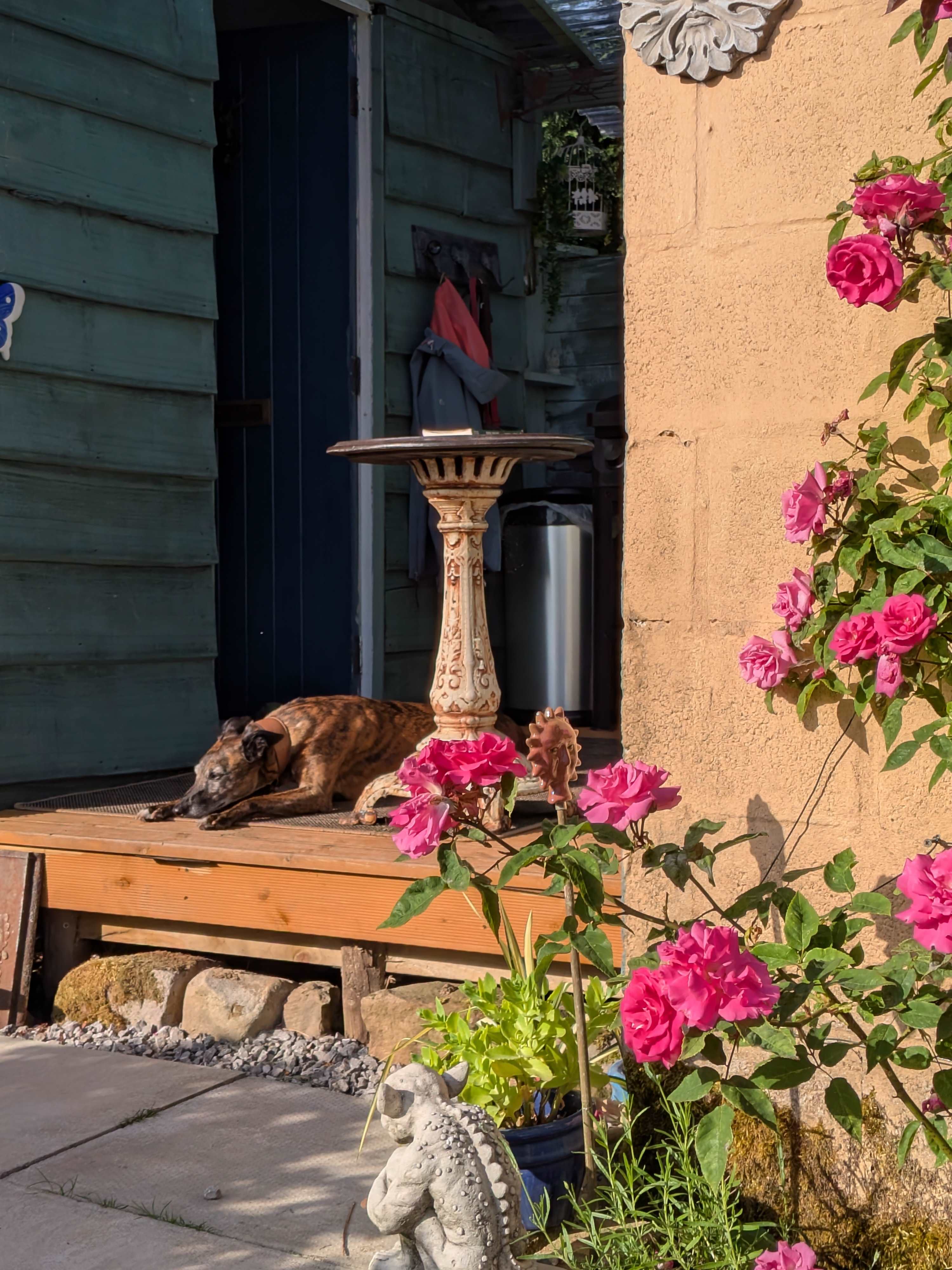 Porch snoozing