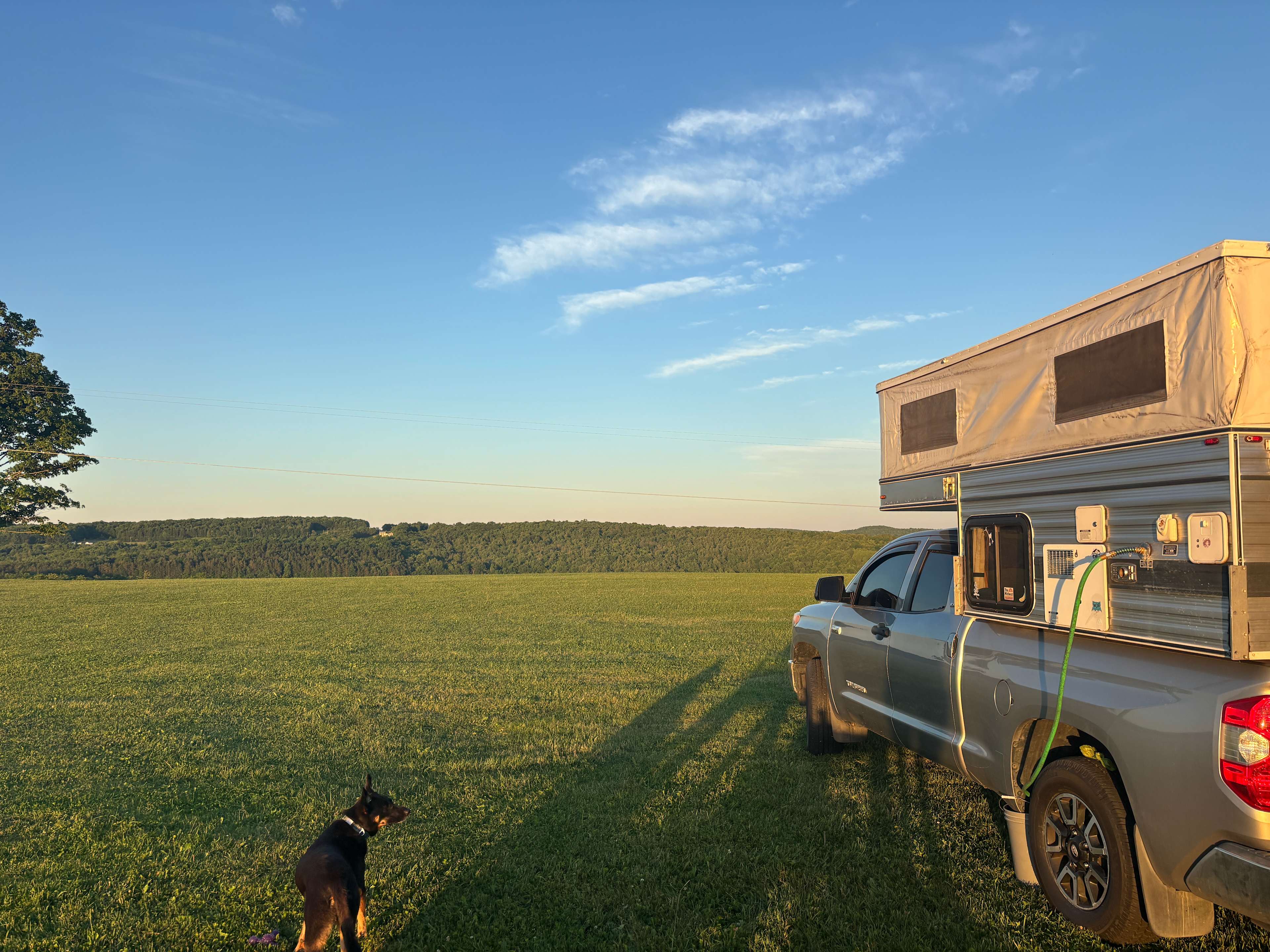 Our rig and dog