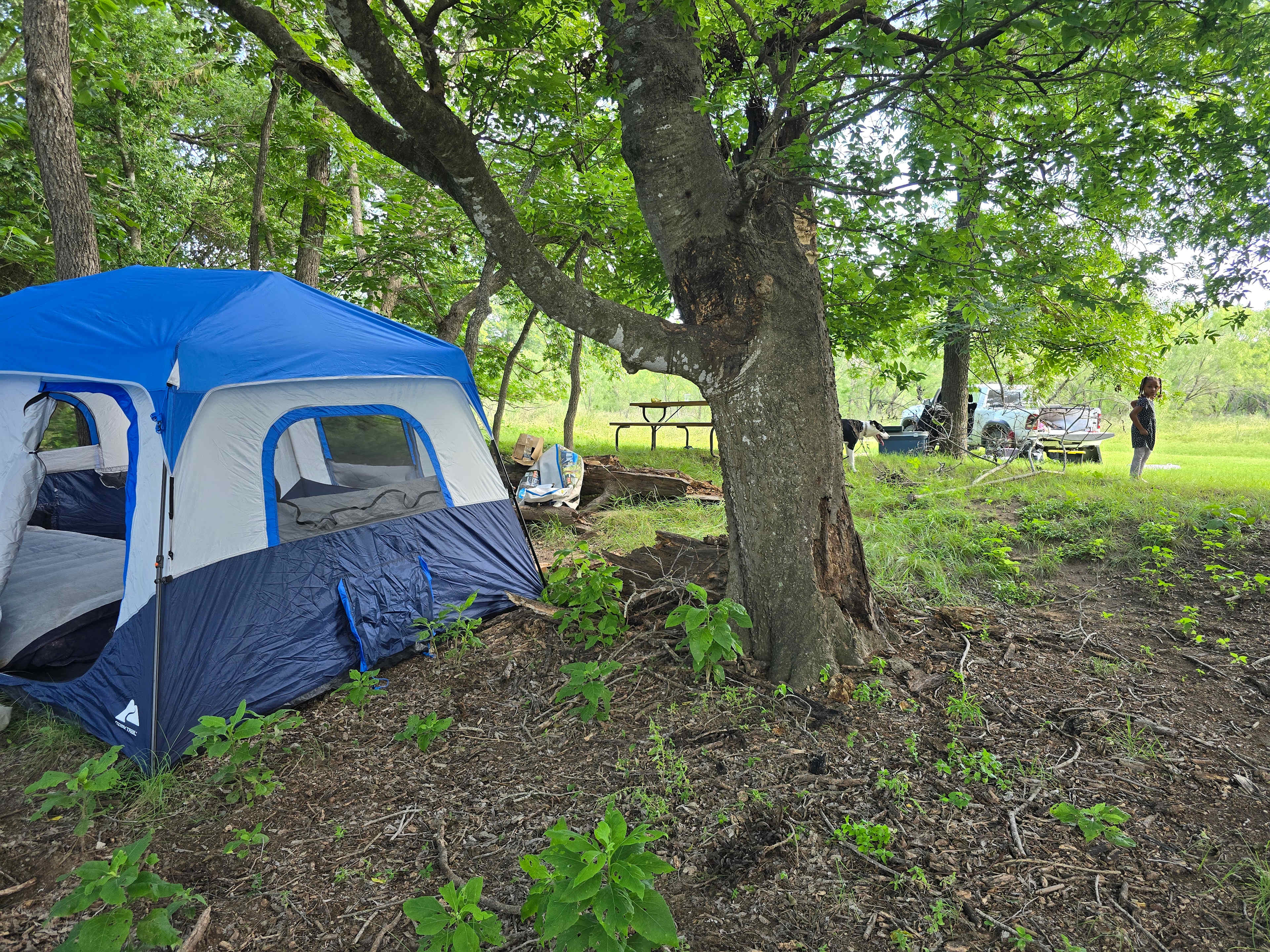 Camp