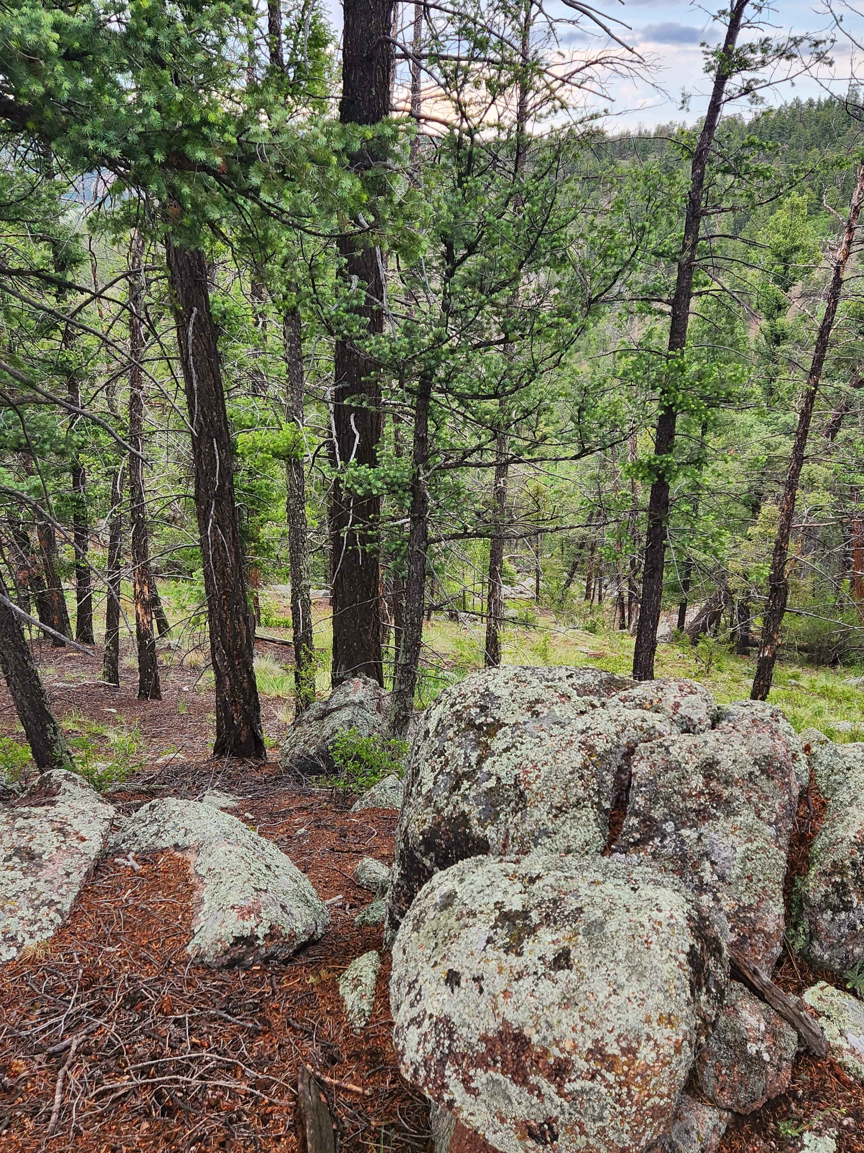 20-Acre Mountain Campsite & Shed