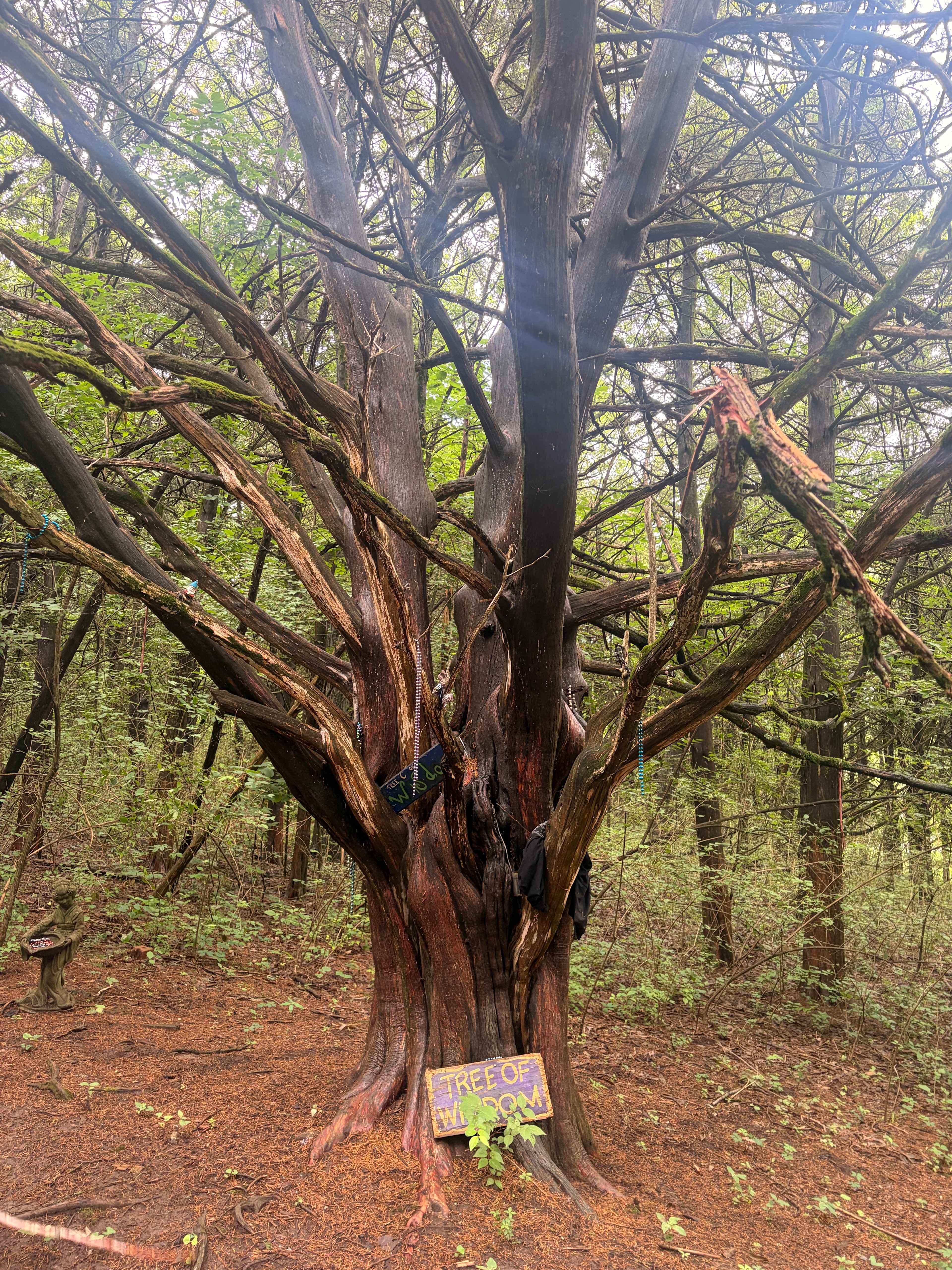 Milo Farm Sacred Land