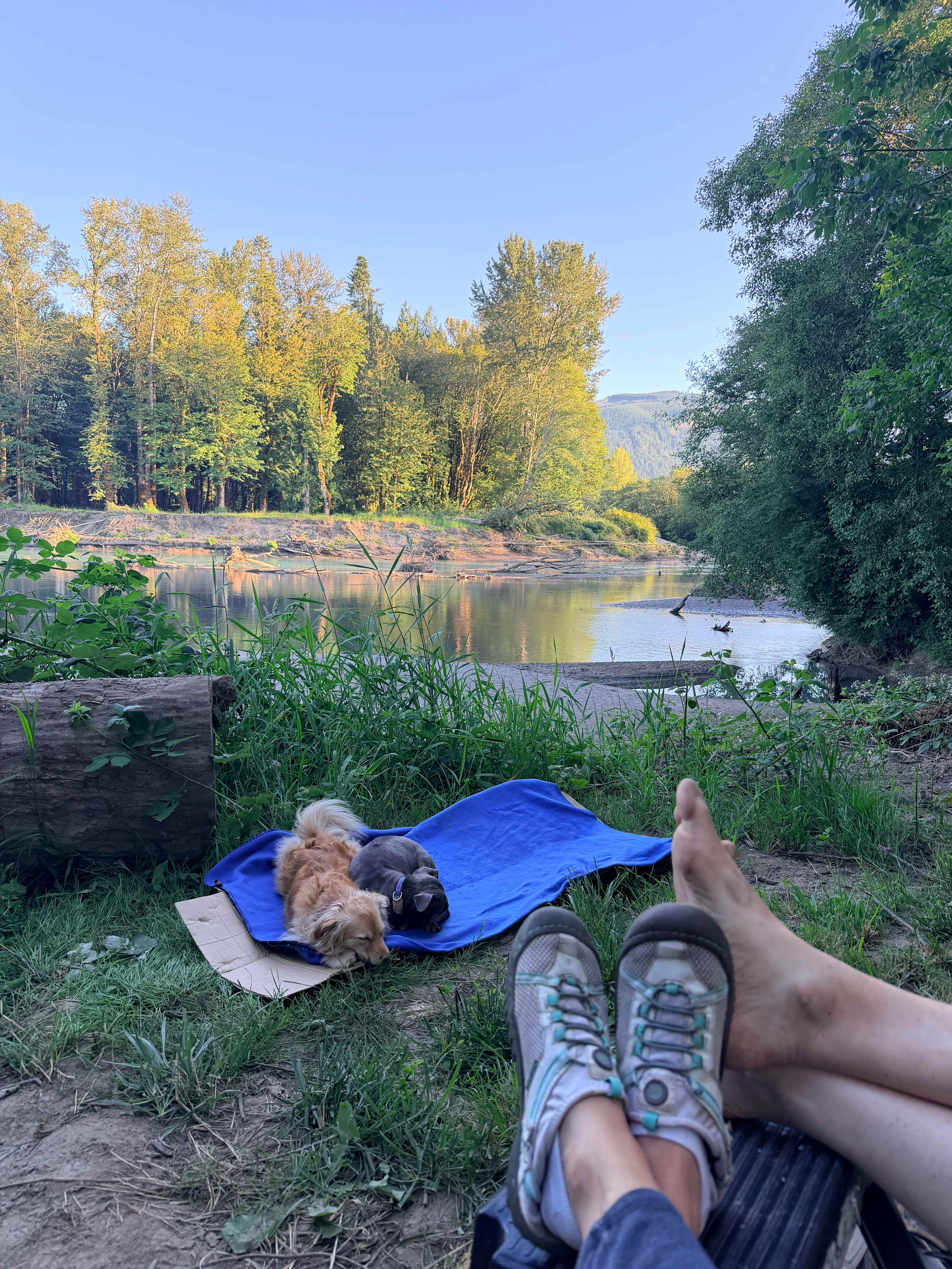 Cowlitz River Rentals
