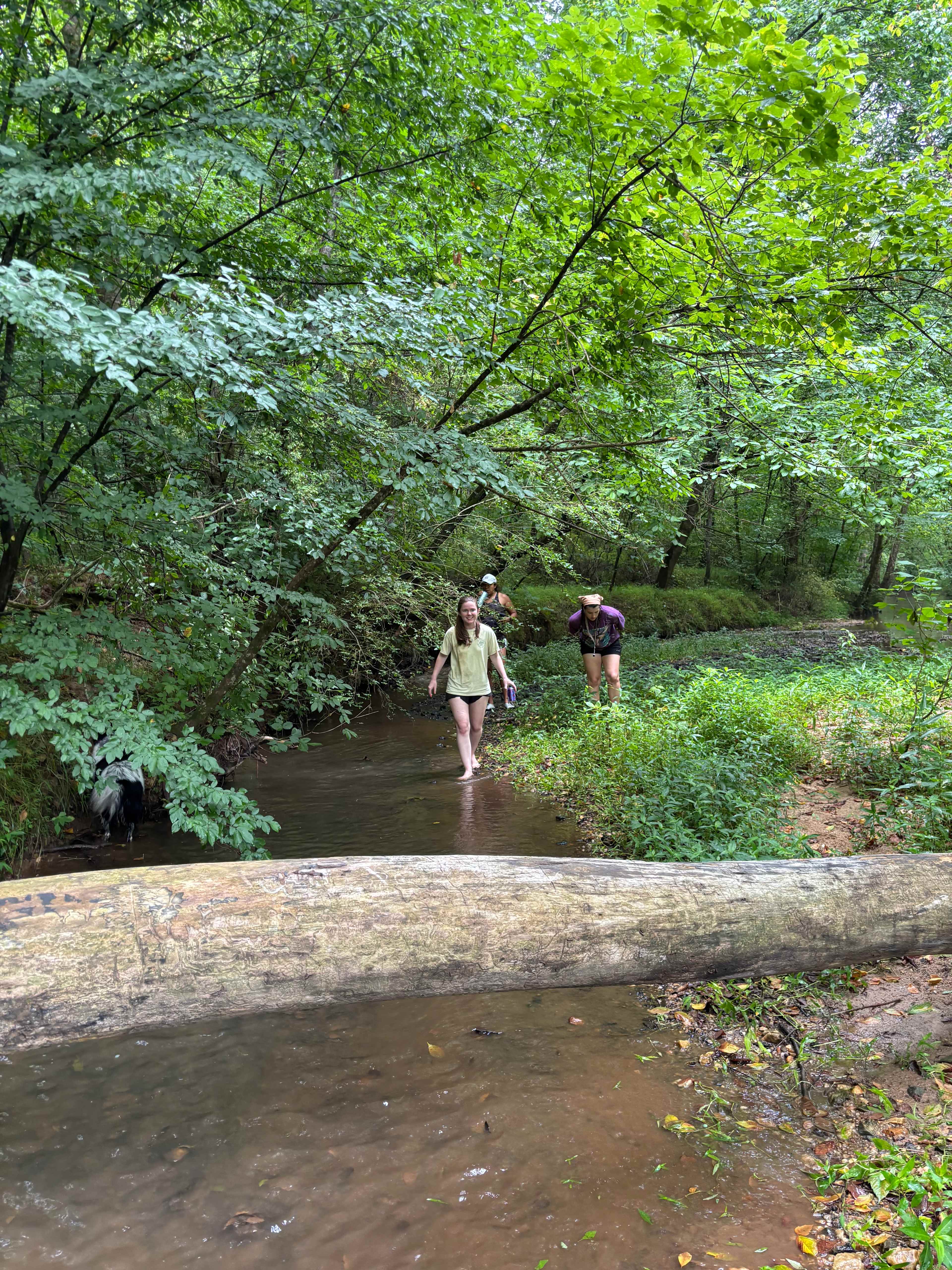 The Oasis at Harmon Creek Farms