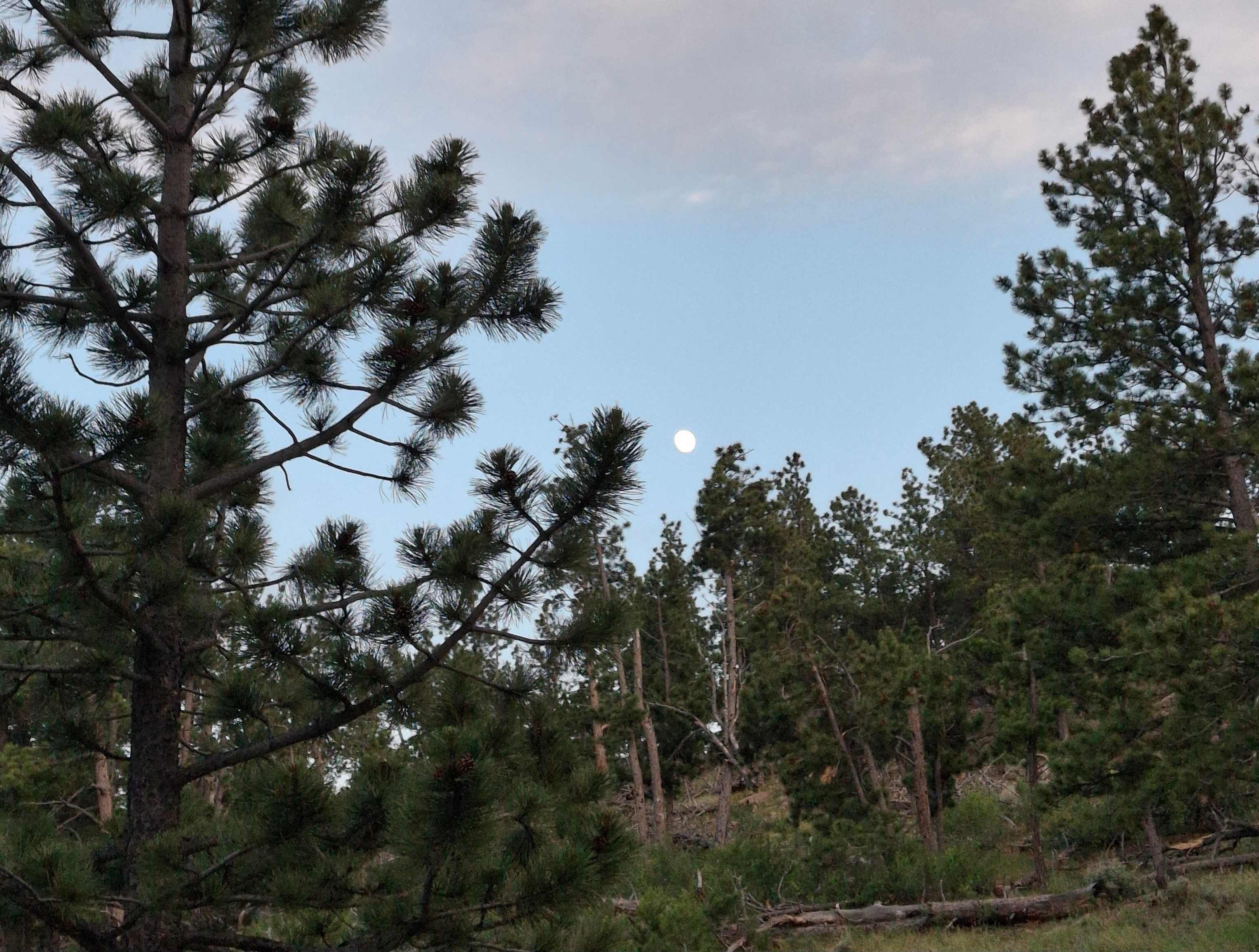 Logan Ranch Campground