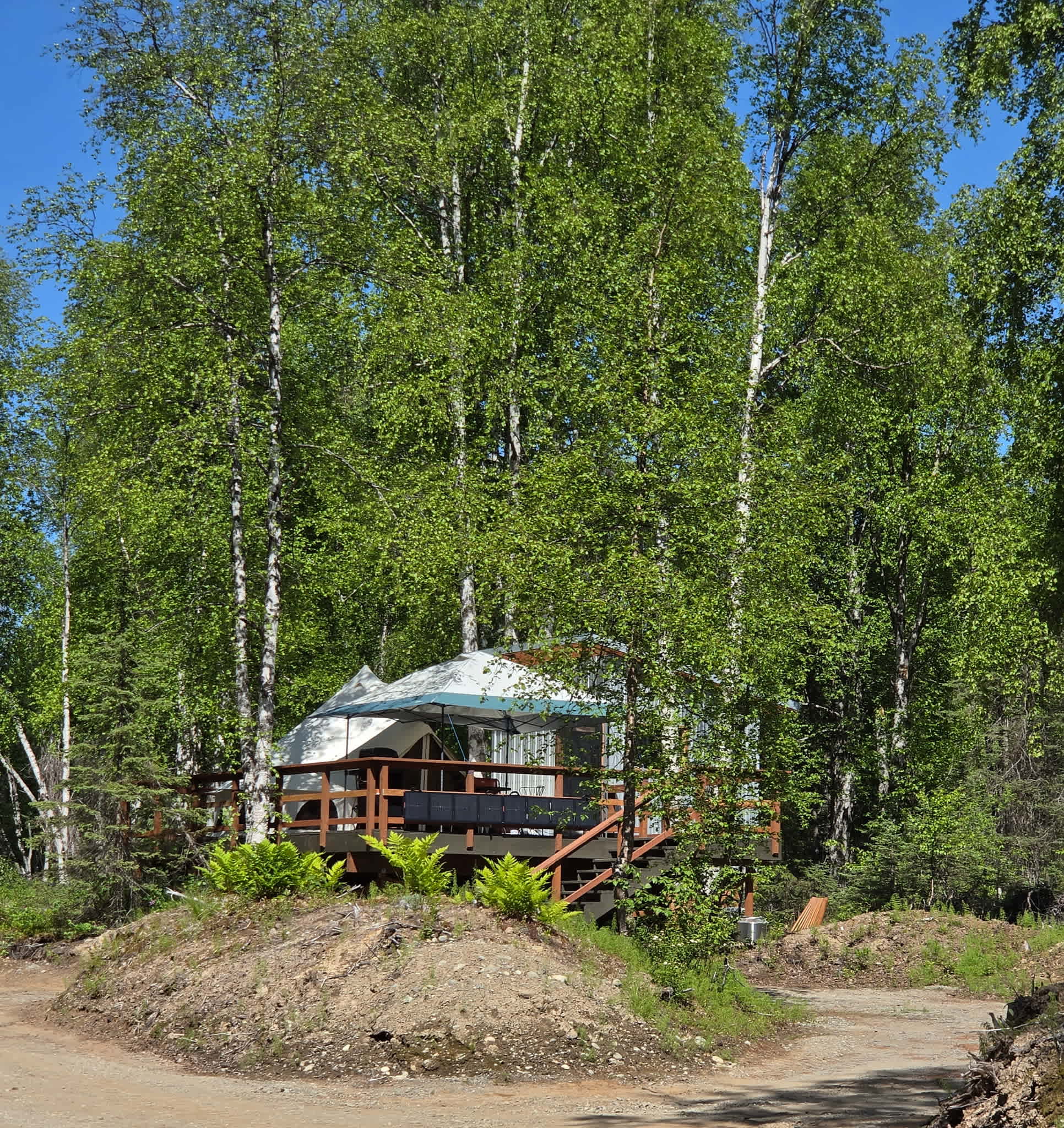 Glamping in The Trees