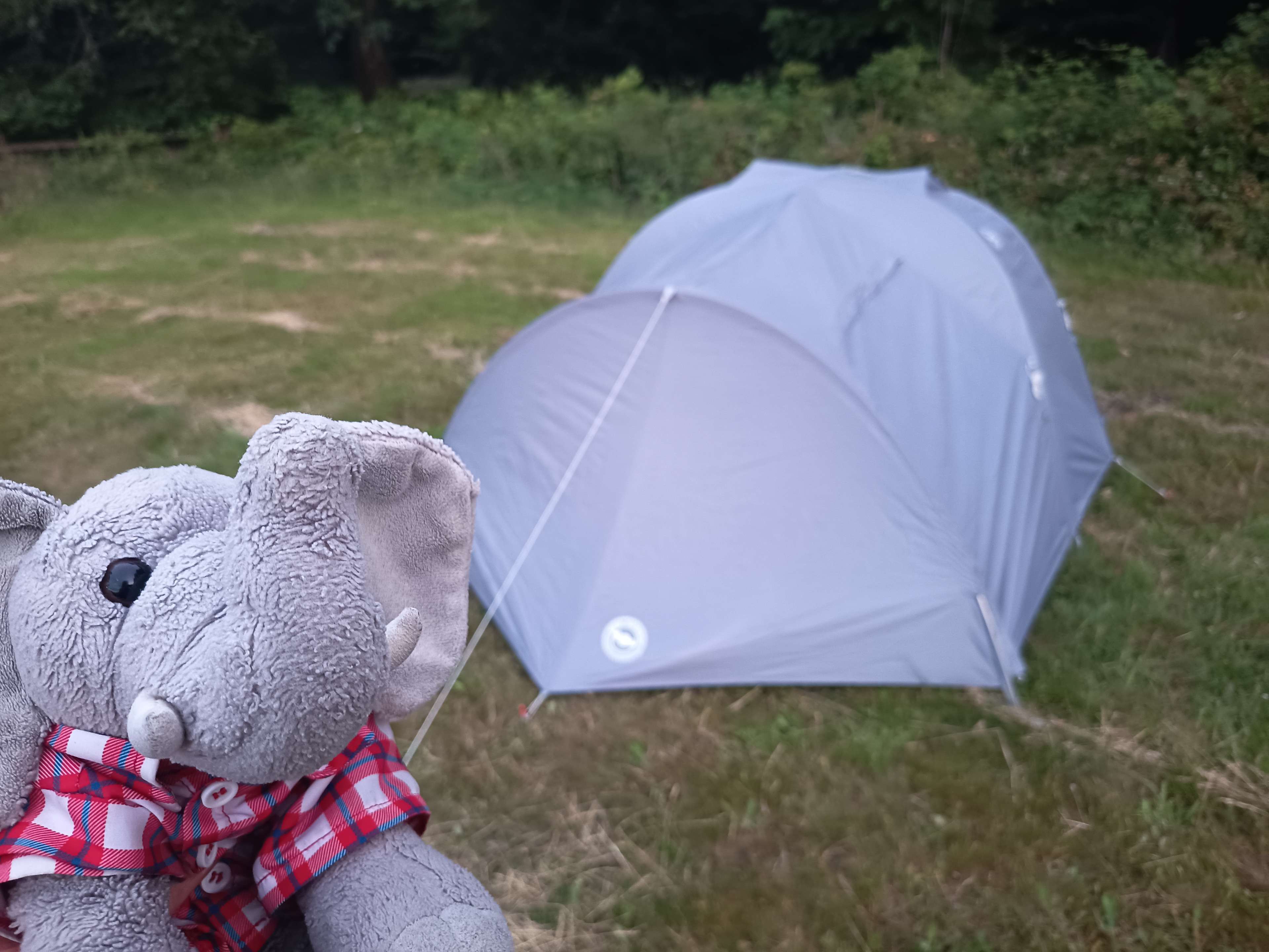 Primrose Fields Campsite