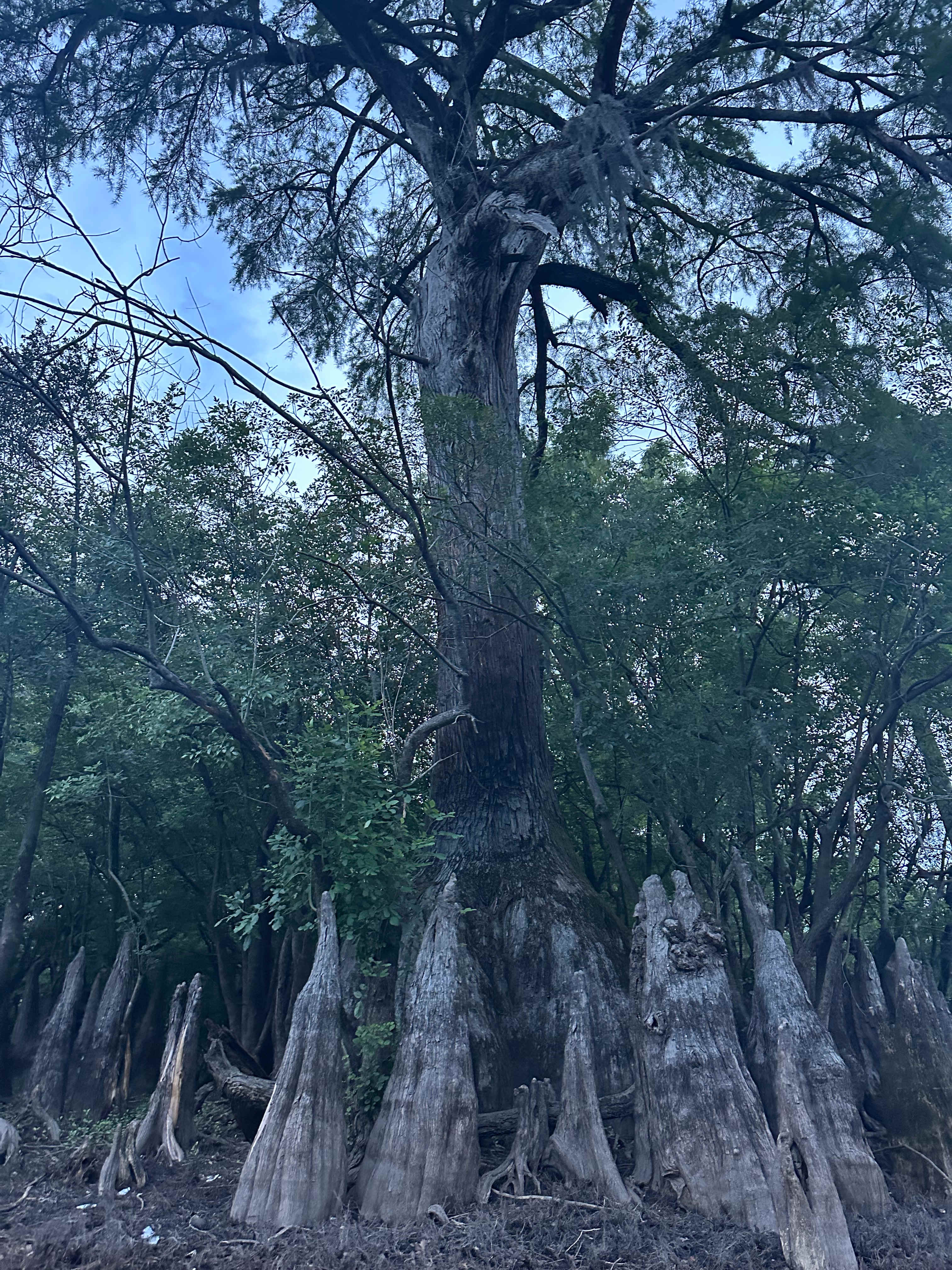 Black River Camping Ventures