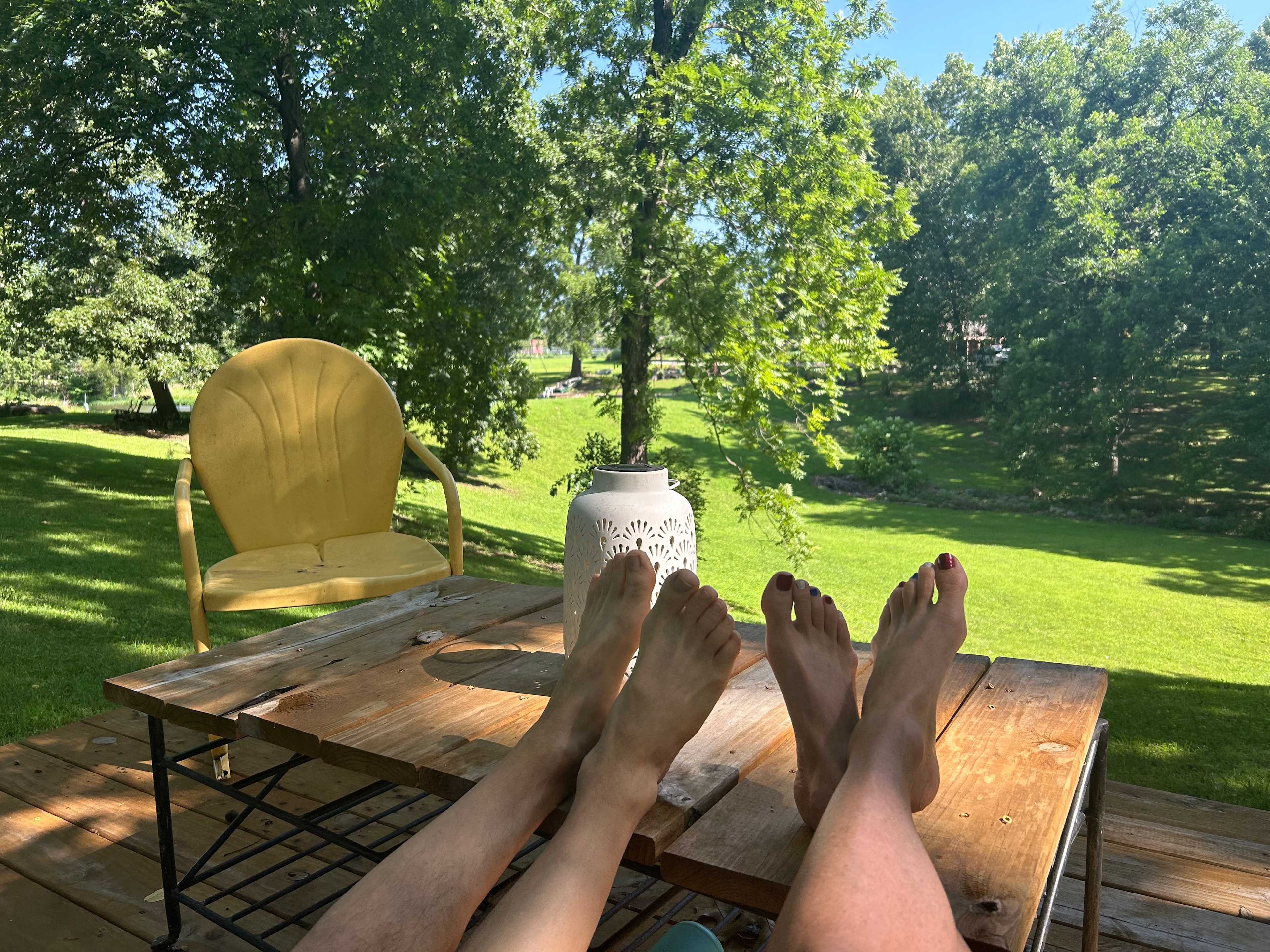 View from the Nest:)