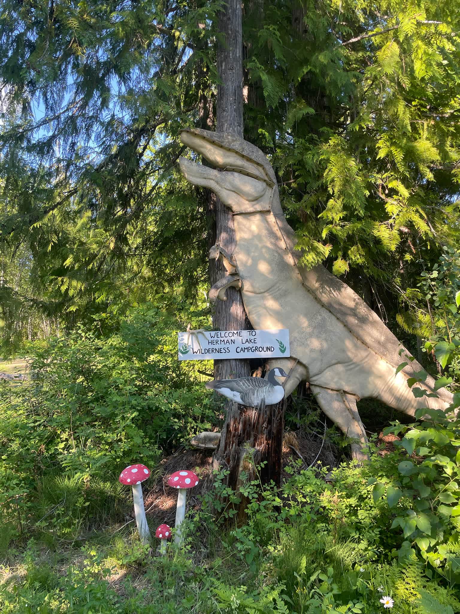 Herman Lake Wilderness Campground