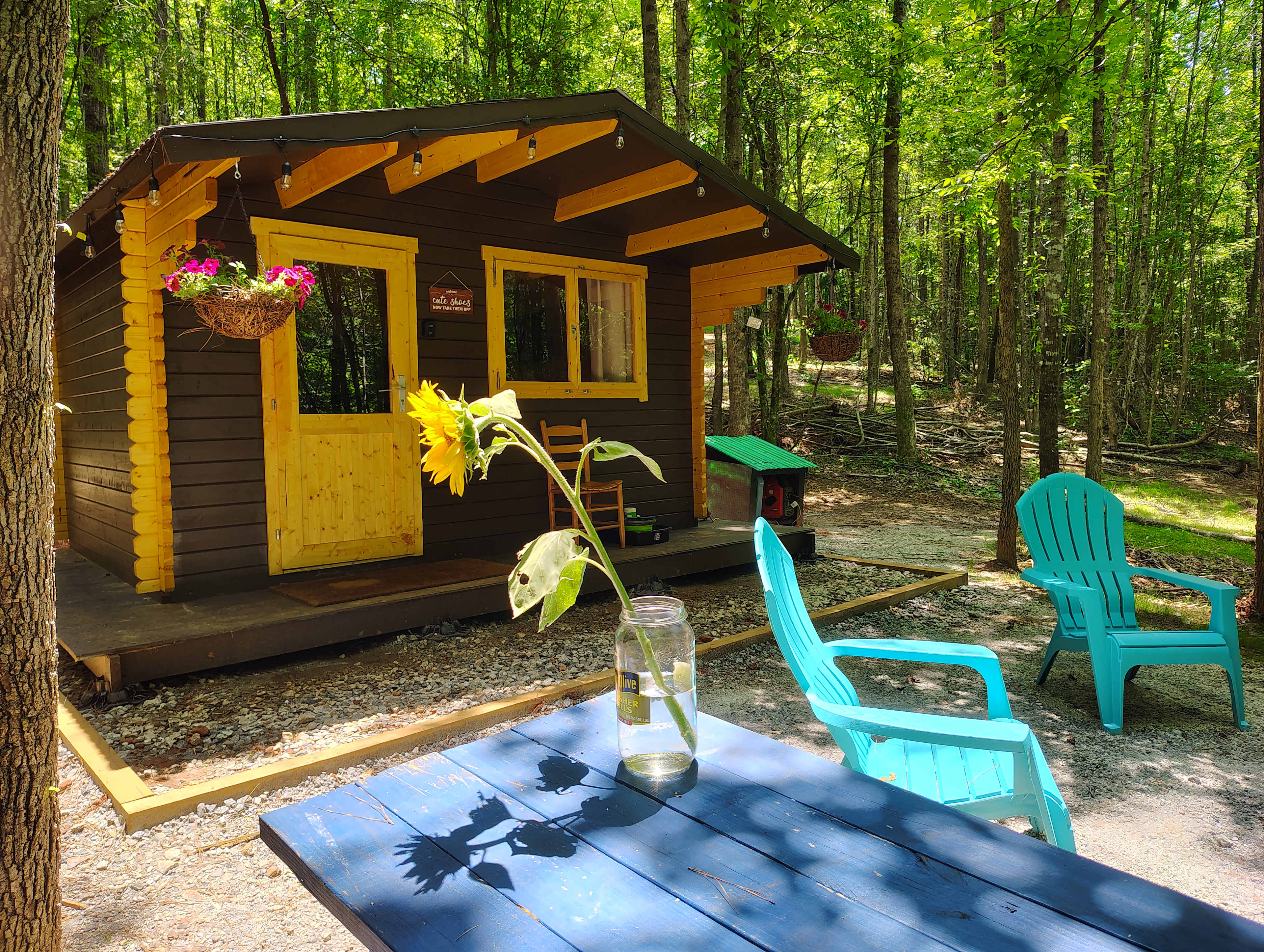 Deluxe Off Grid Lodging at Black Sheep Homestead