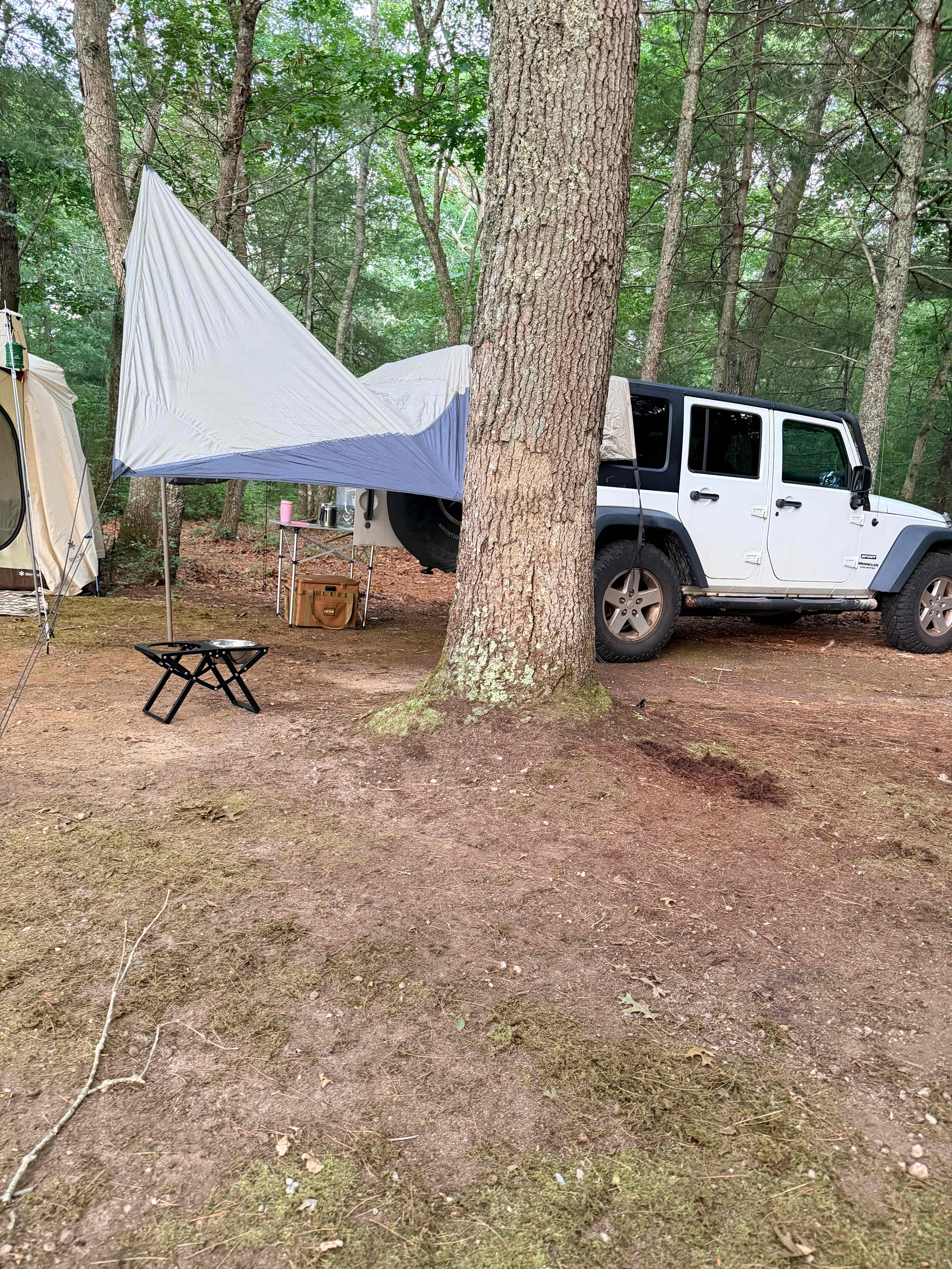 Picture of the site