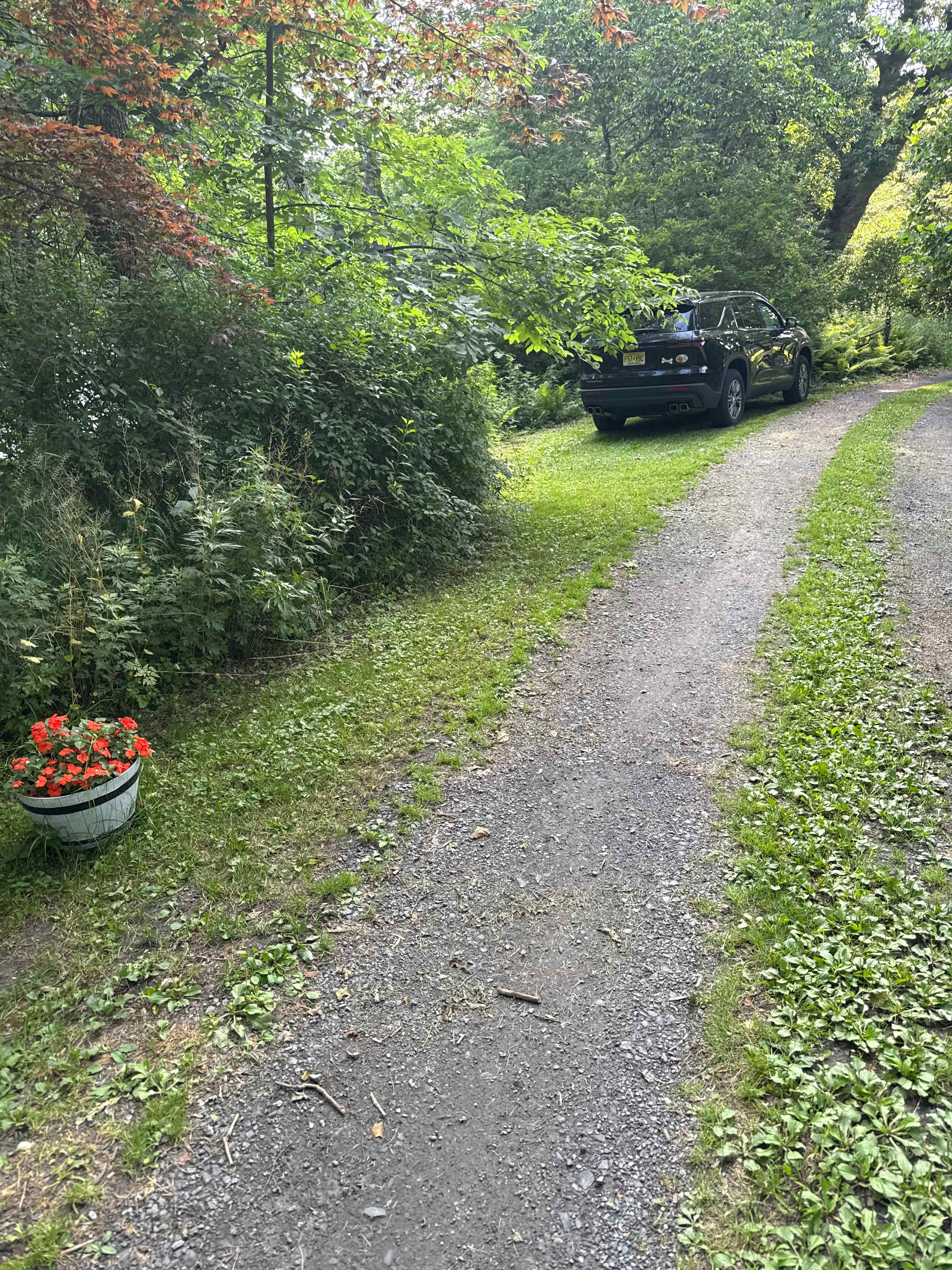 Parking spot then steep hill near red flowers down to campsite
