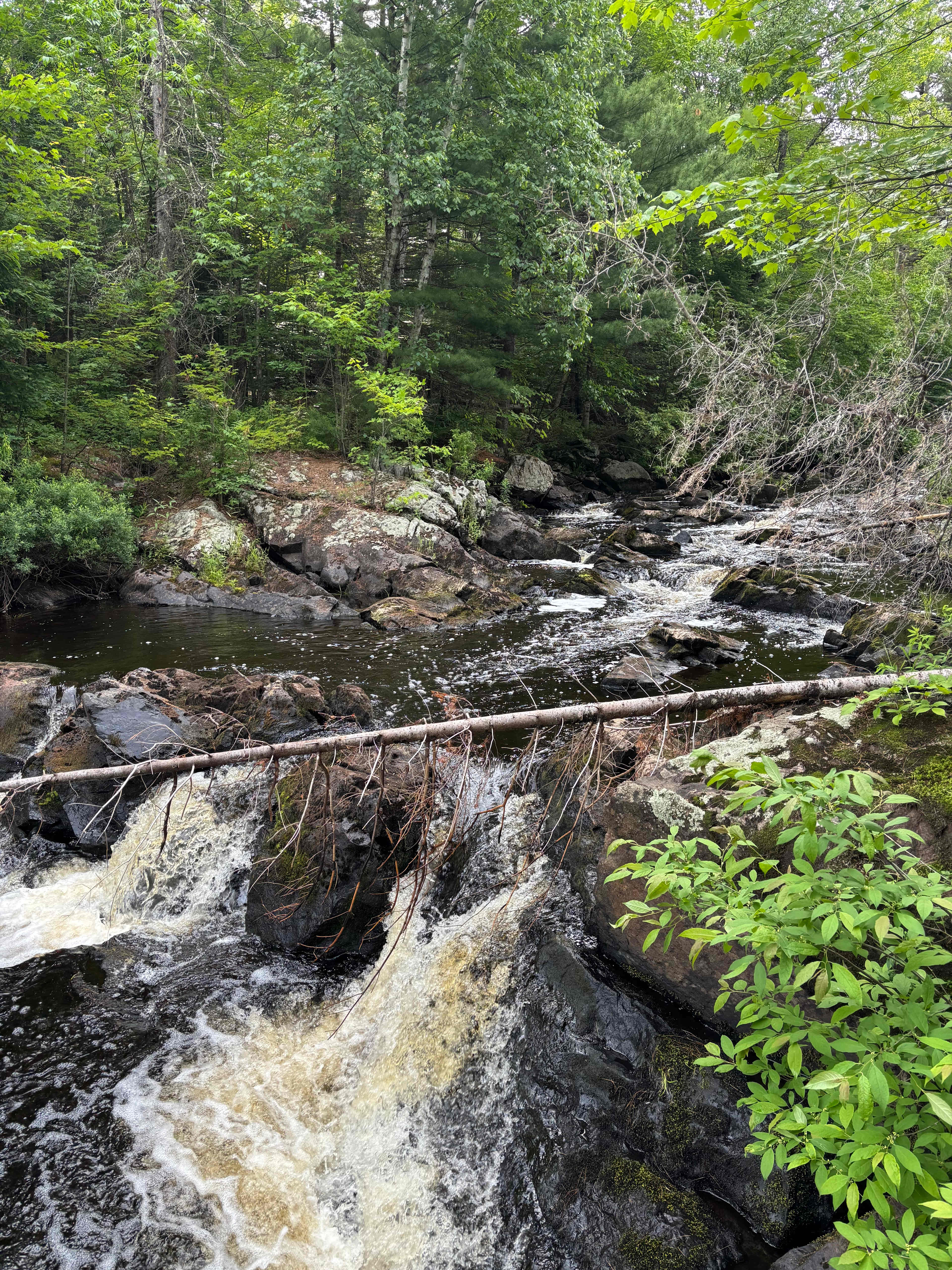 Bad River Wilderness