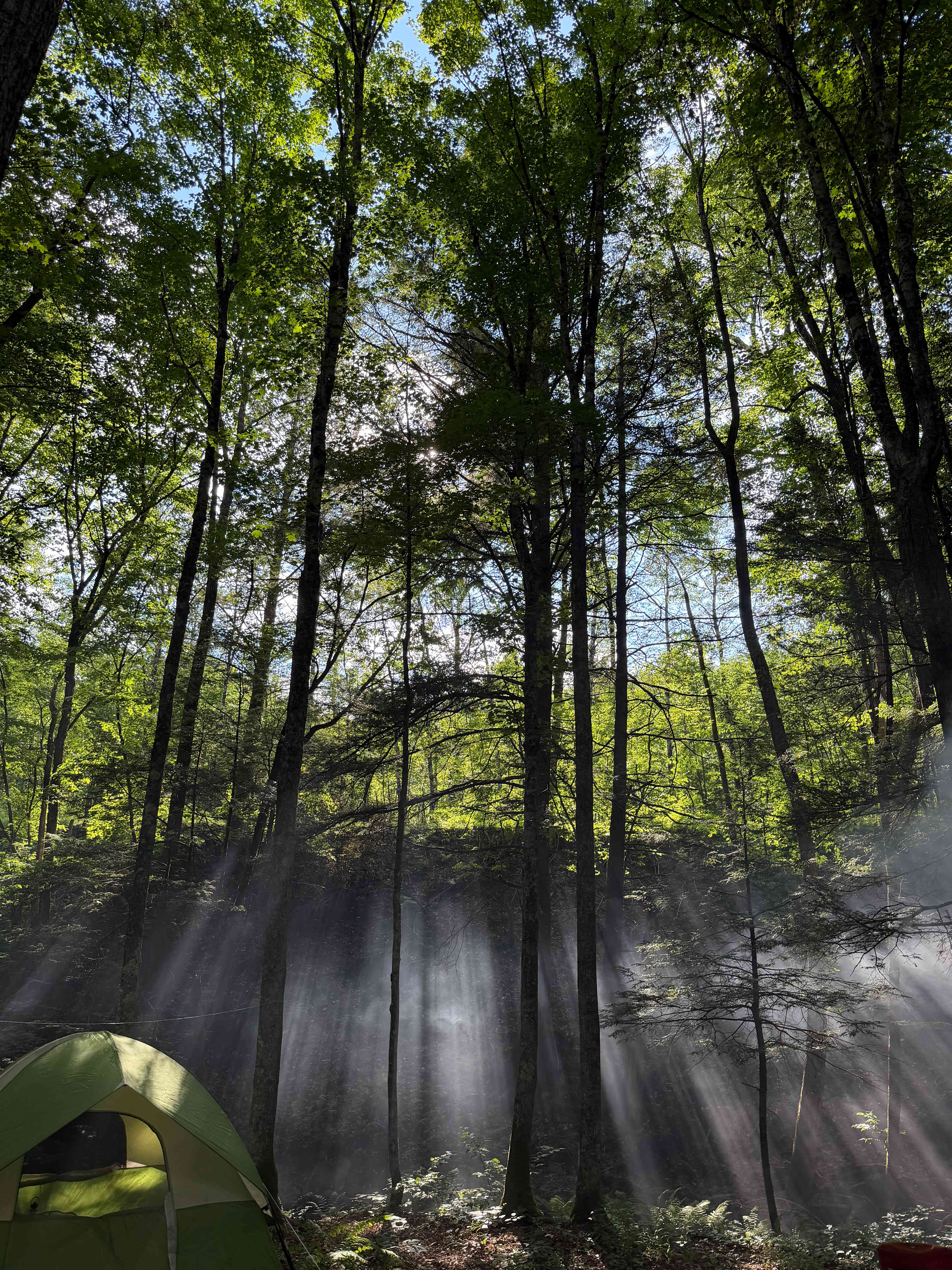 Hemlock Hideaway