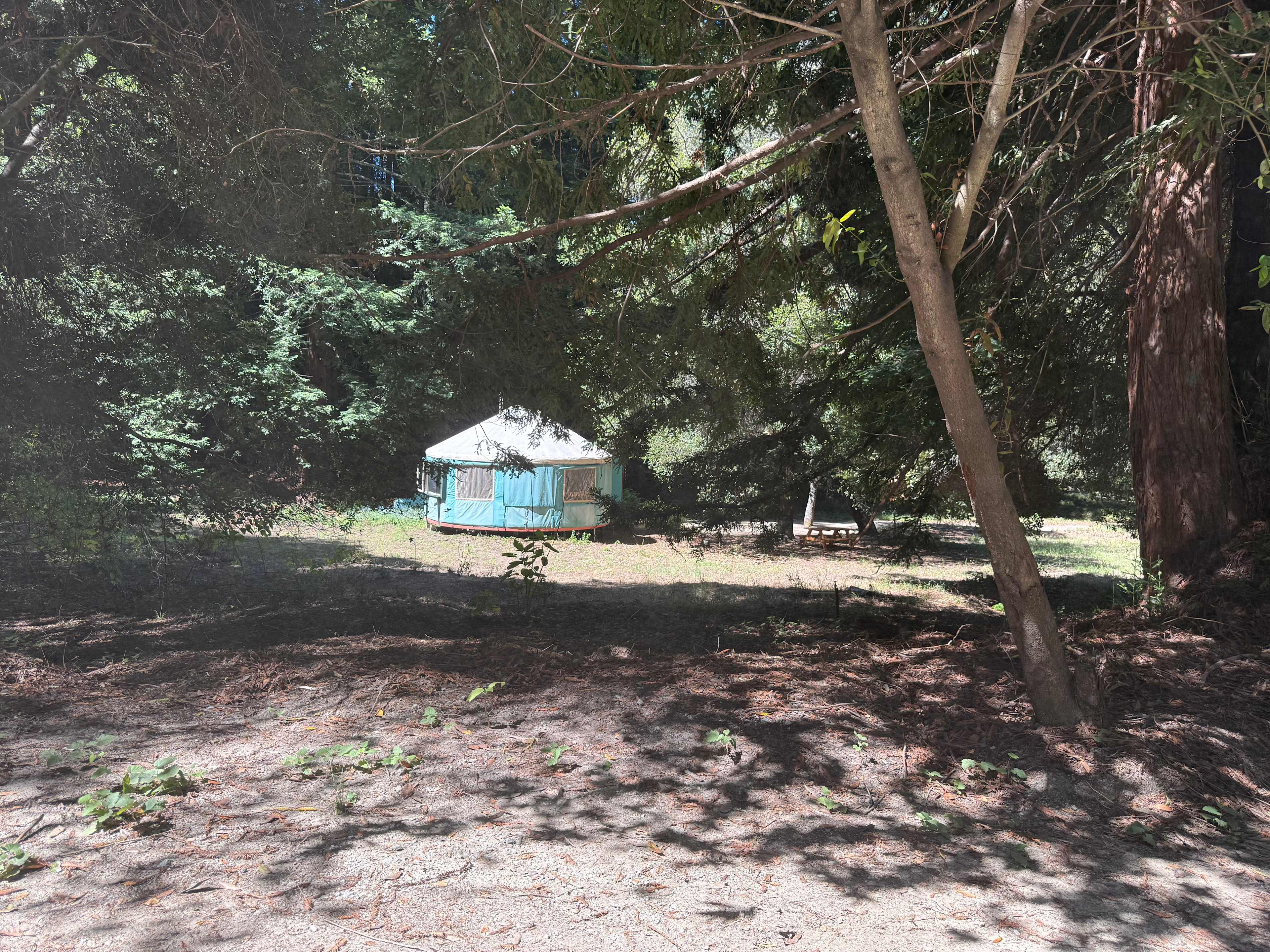 Yurt In The Redwoods