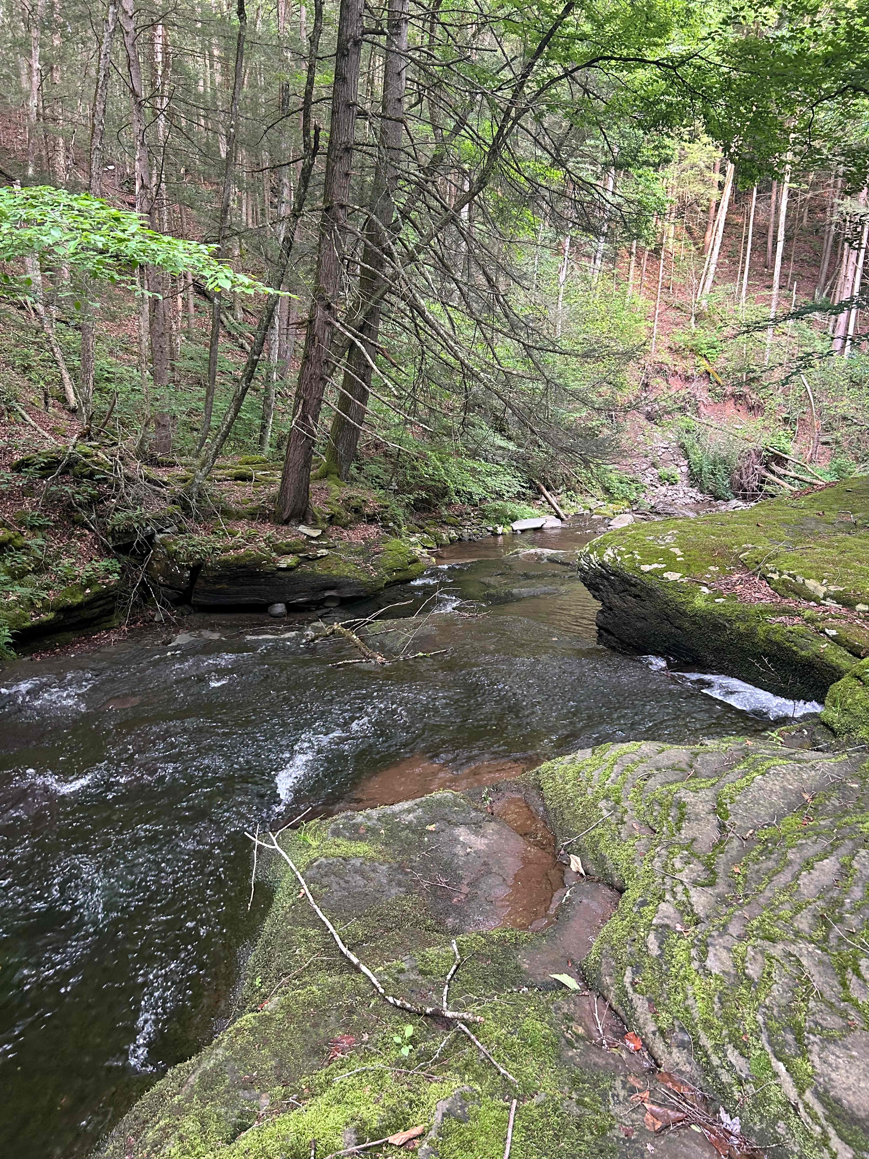 Paradise Falls