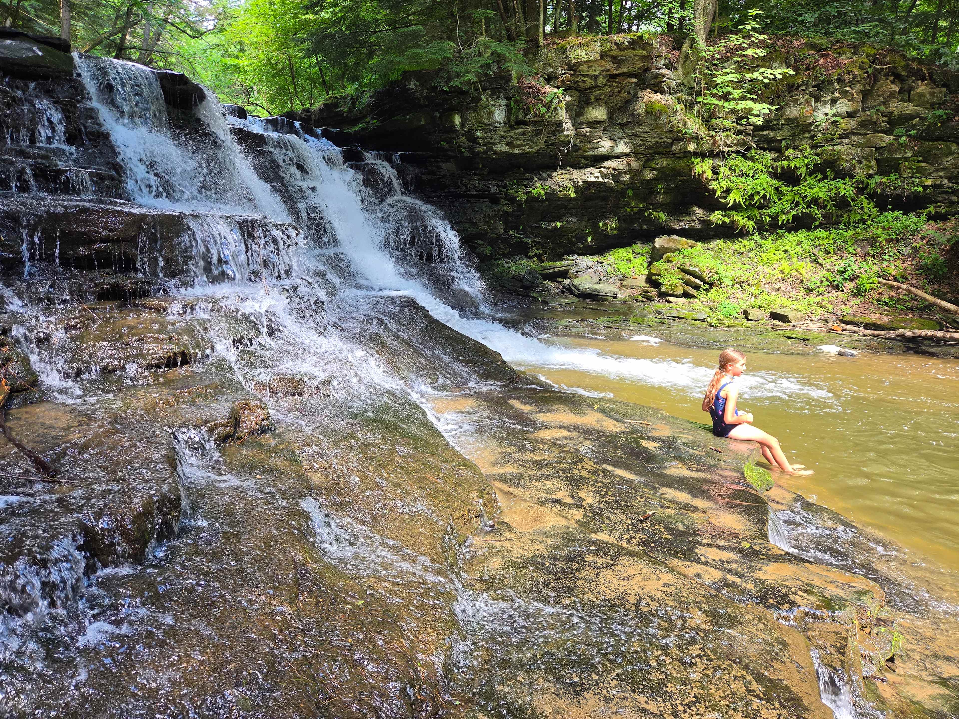 Towner's Country Paradise