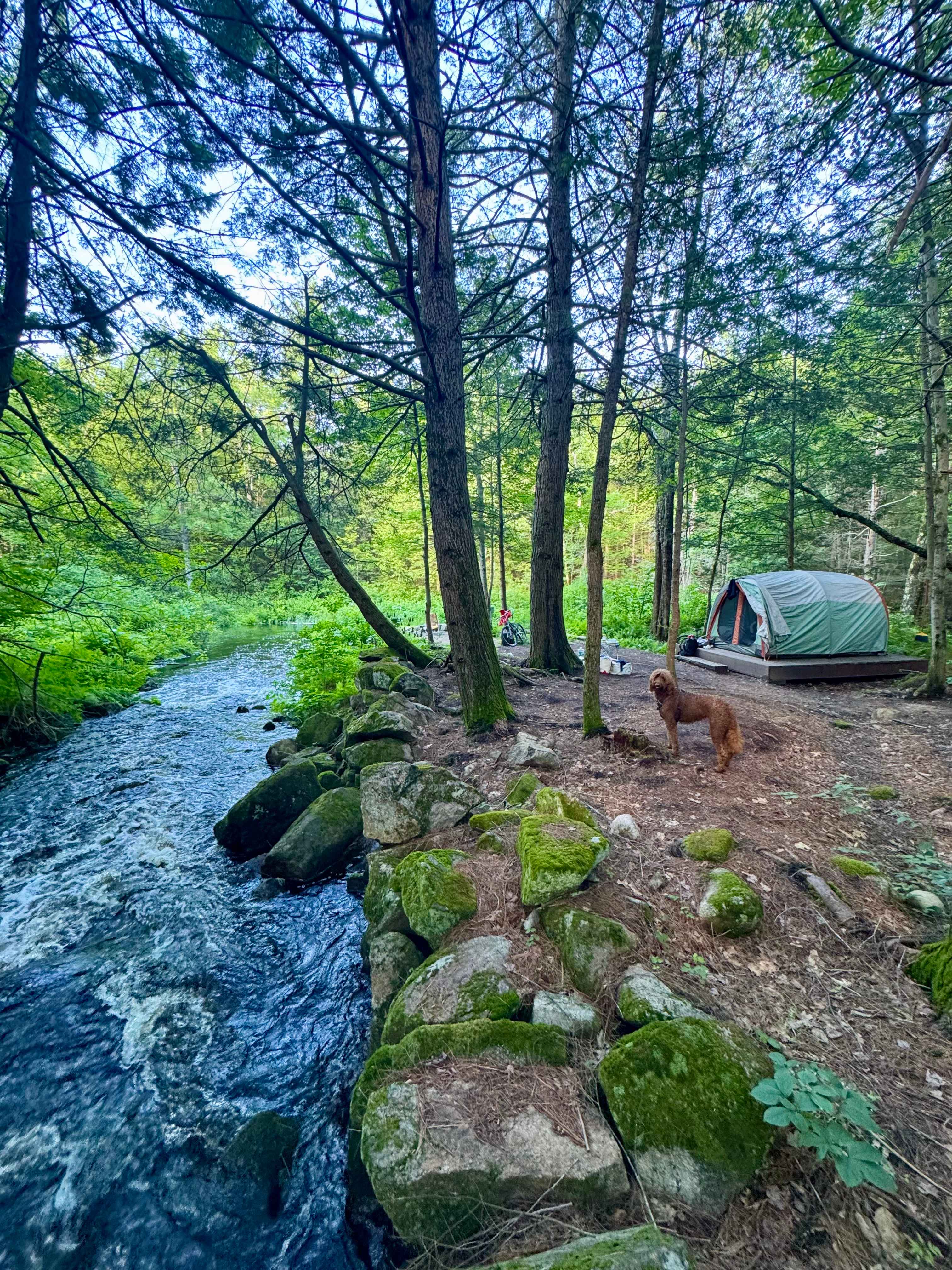 Boulder Brook
