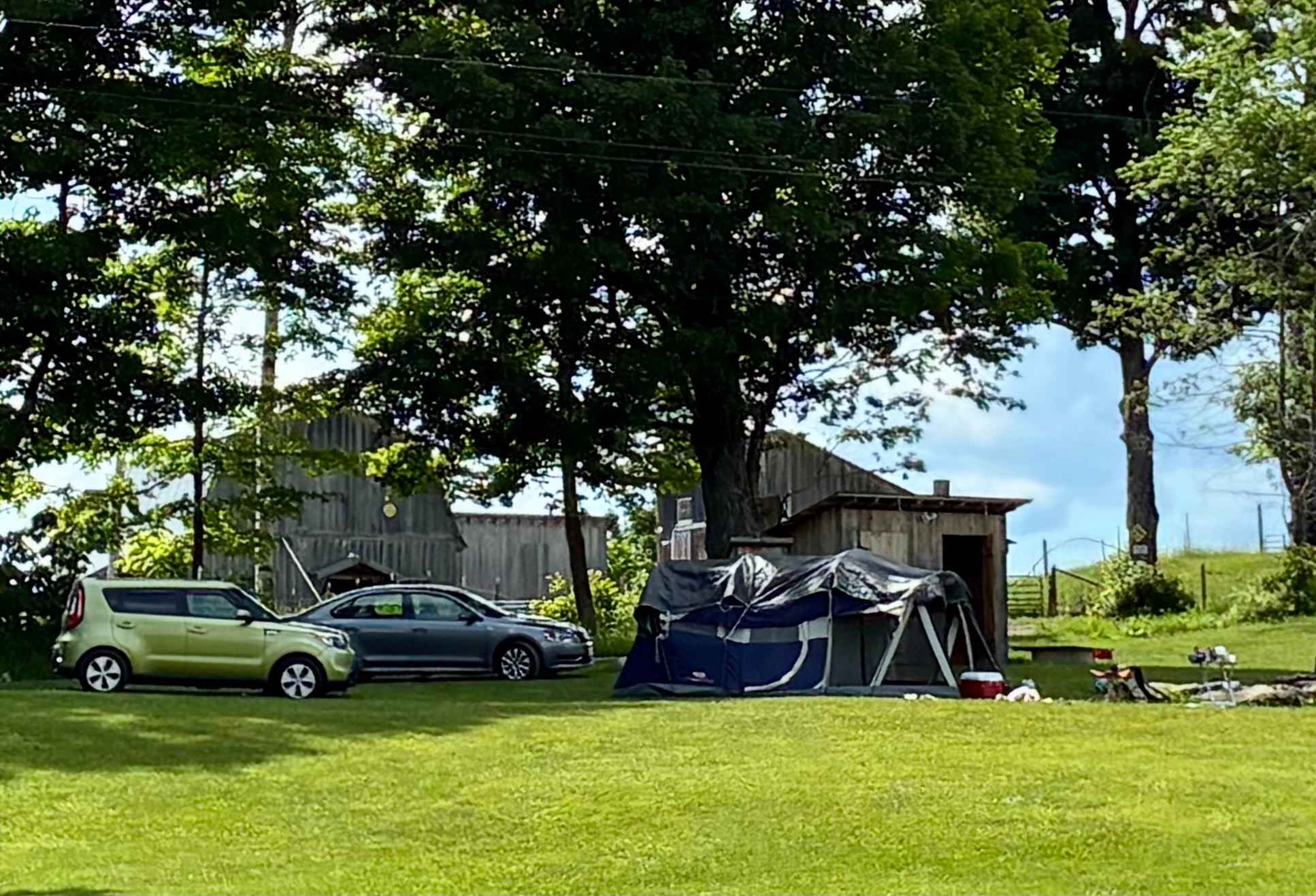 Windswept Acres Campsite