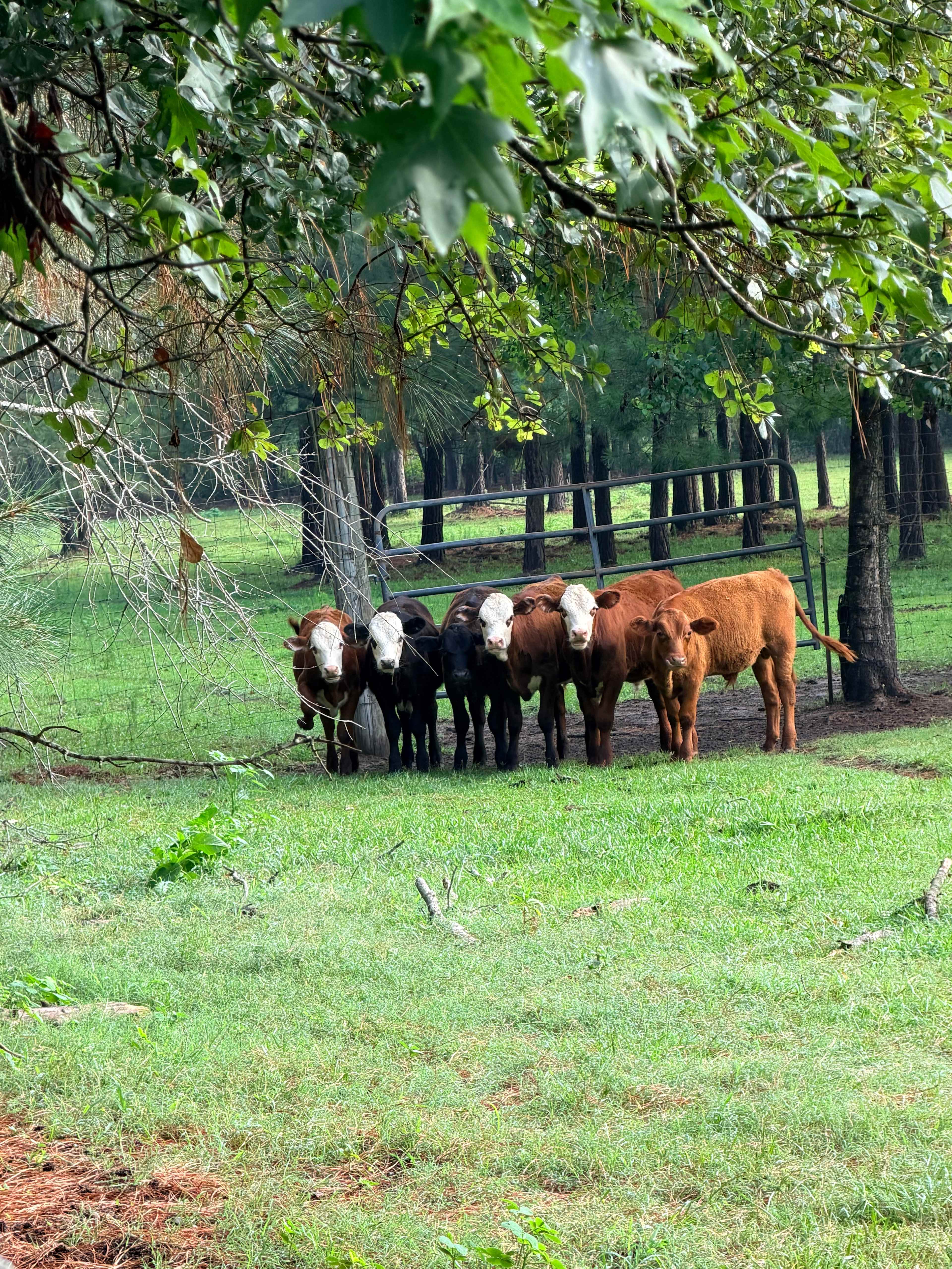 Double L Farms RV Park, LLC