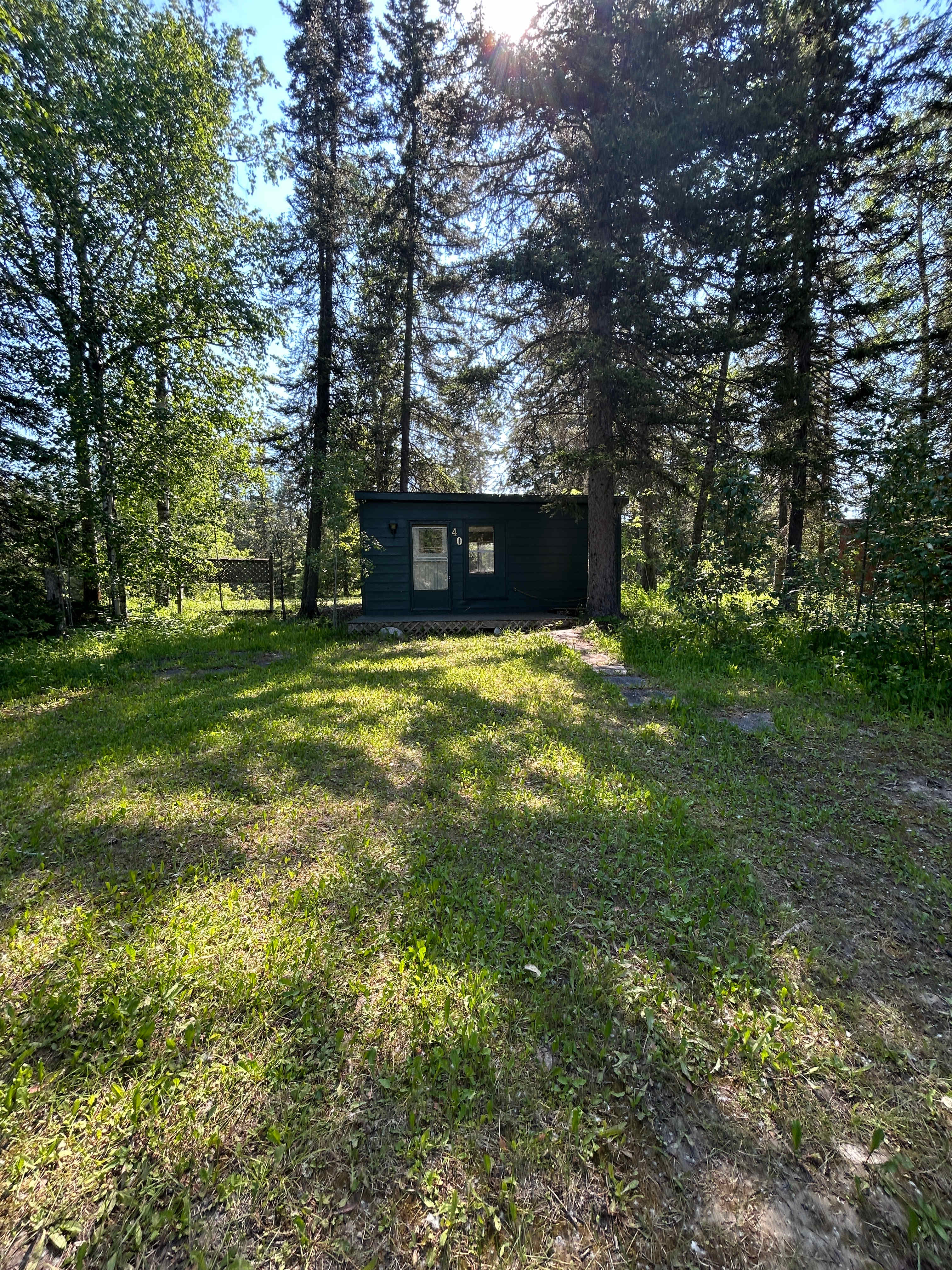Picture of the site