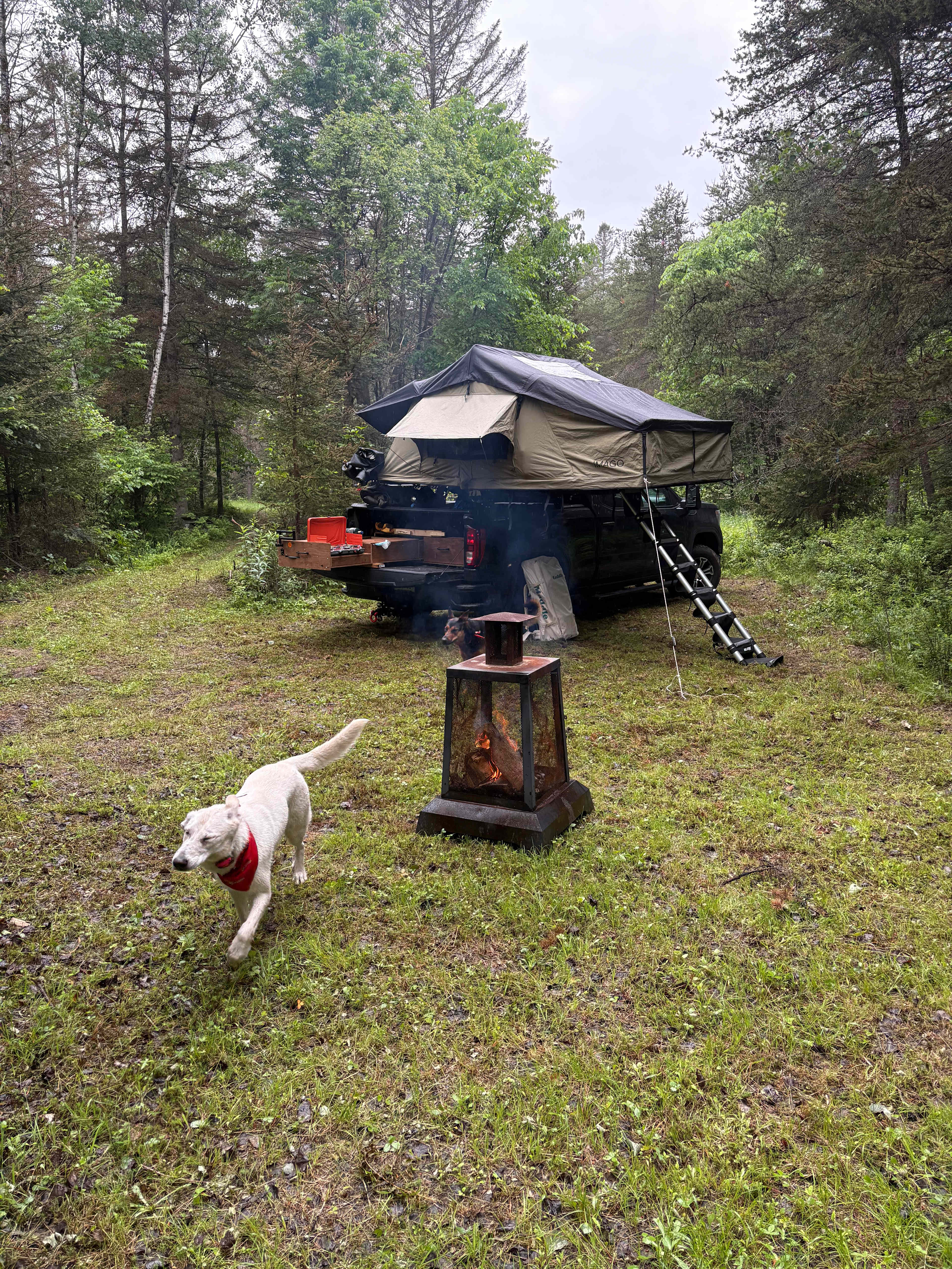 3 Forest Lodge - River Side Camping