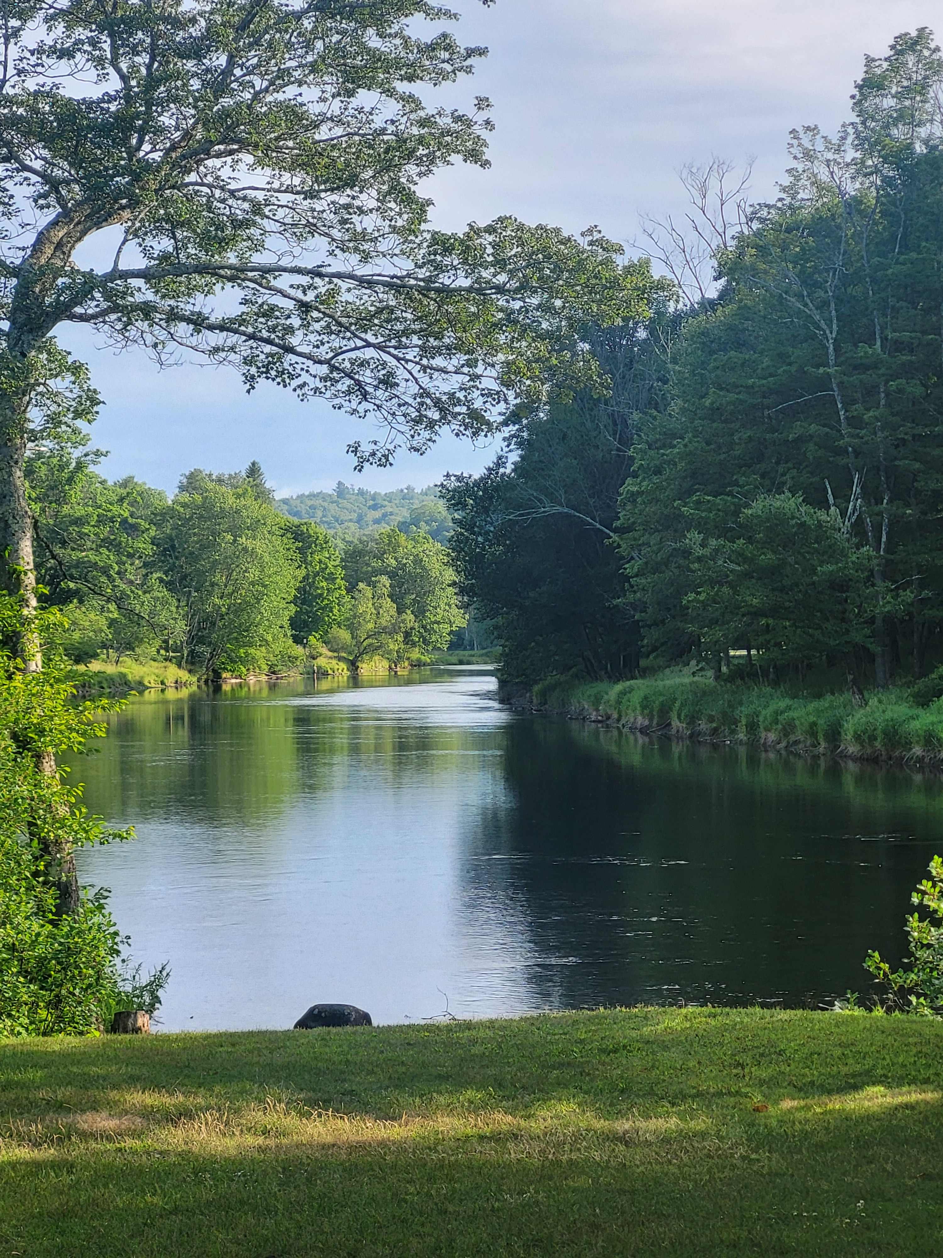 The Neversink River Isle