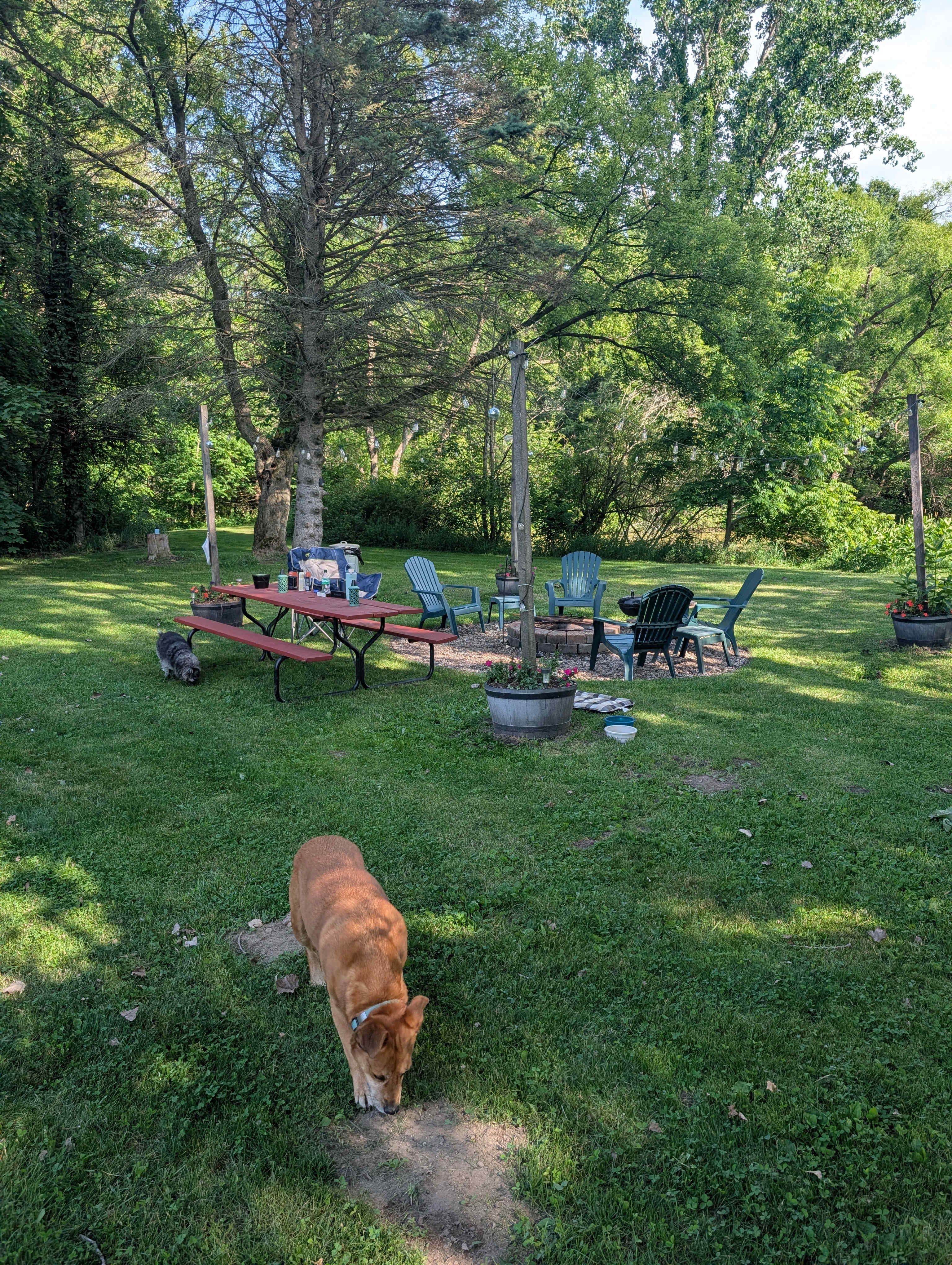 Sun Creek Farm