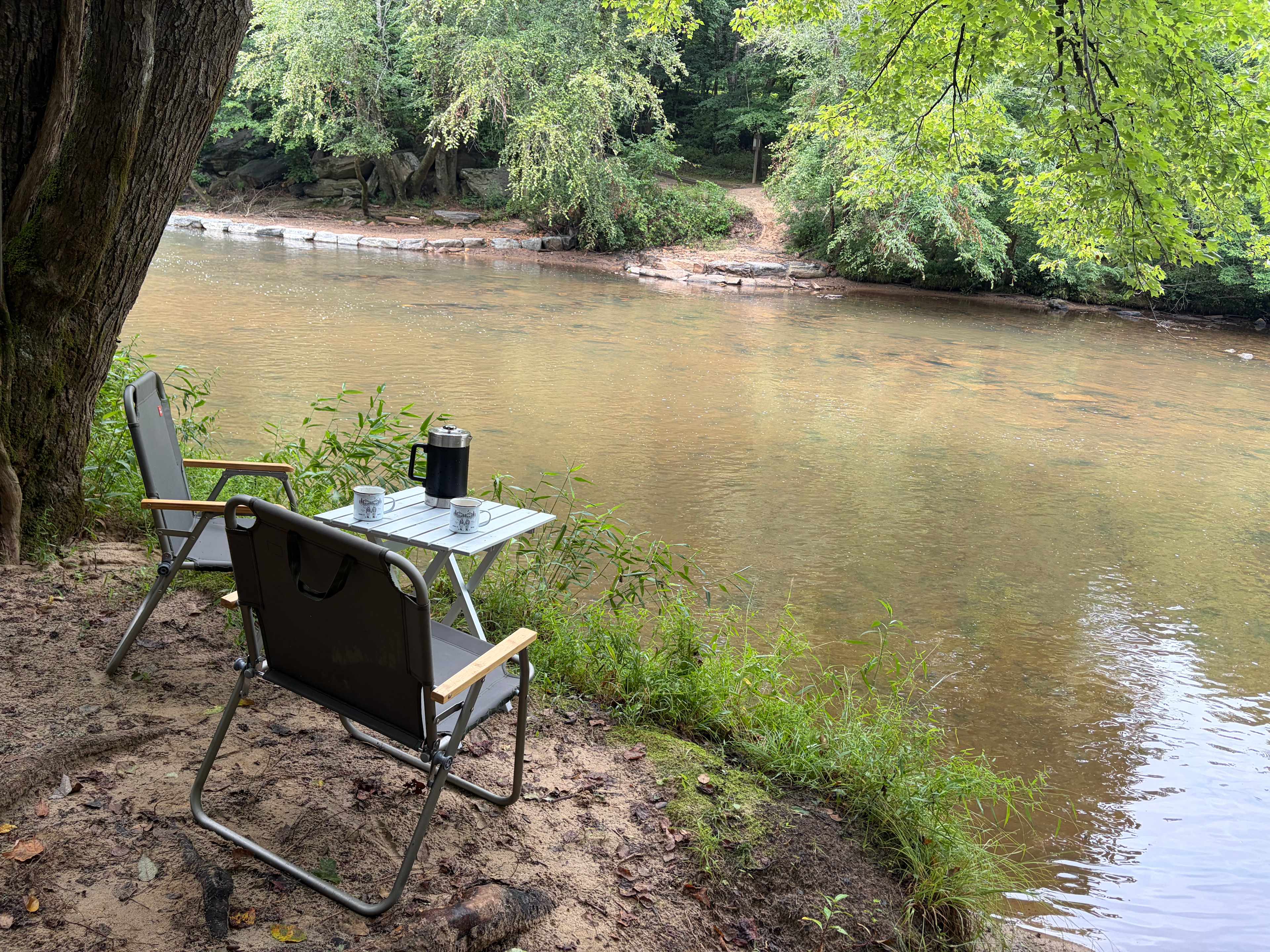 Tranquil Fisher River Cattle Farm