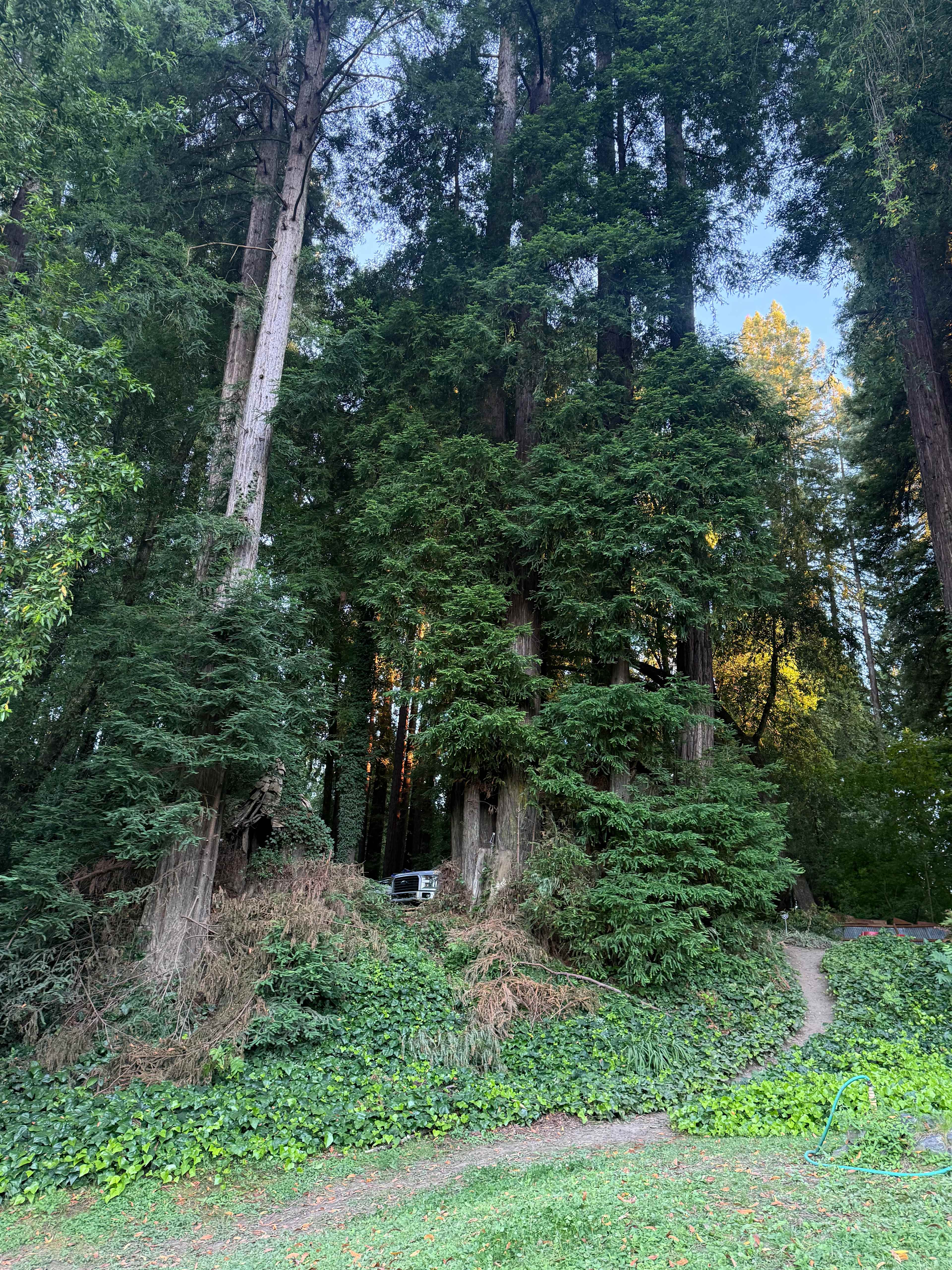 Private Honey Island Russian River