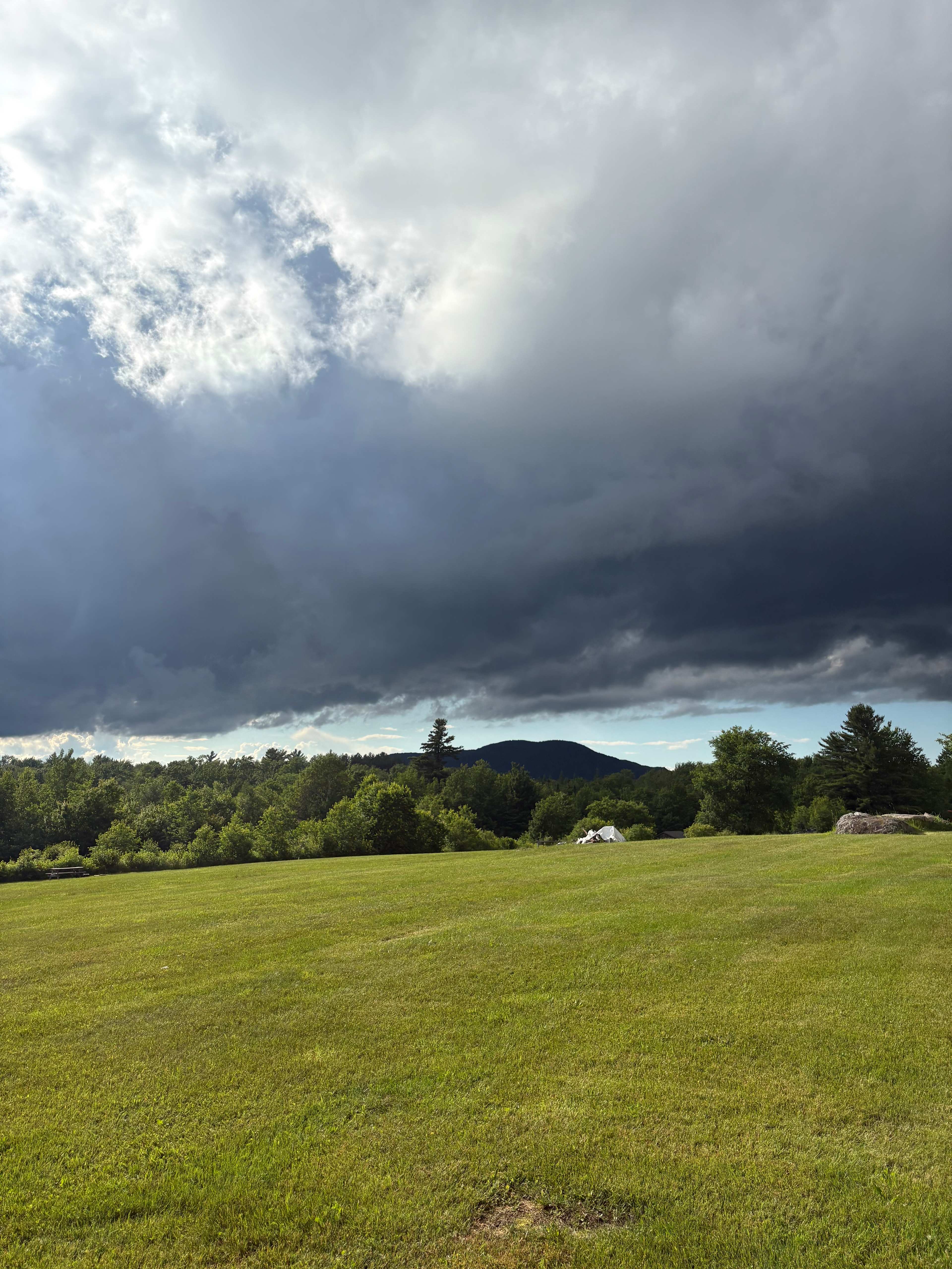 BlueberryHill  Field Camp